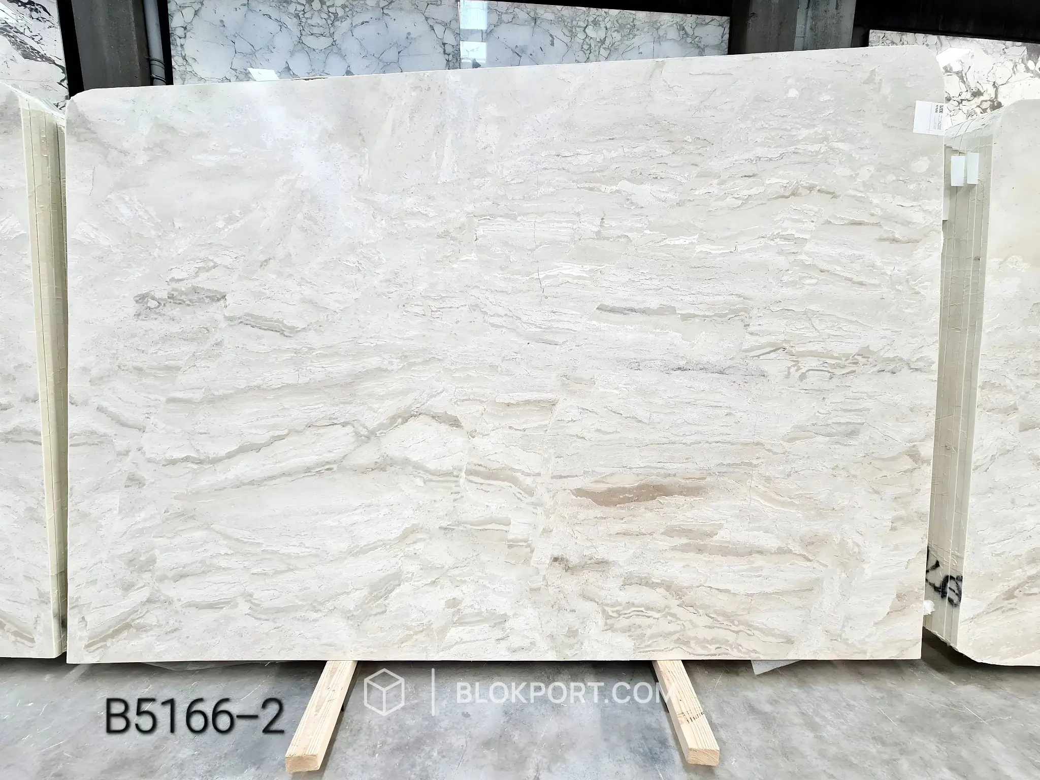 Turkish Daino Reale 亚光磨面 大理石, 1 张图片，共 8 张