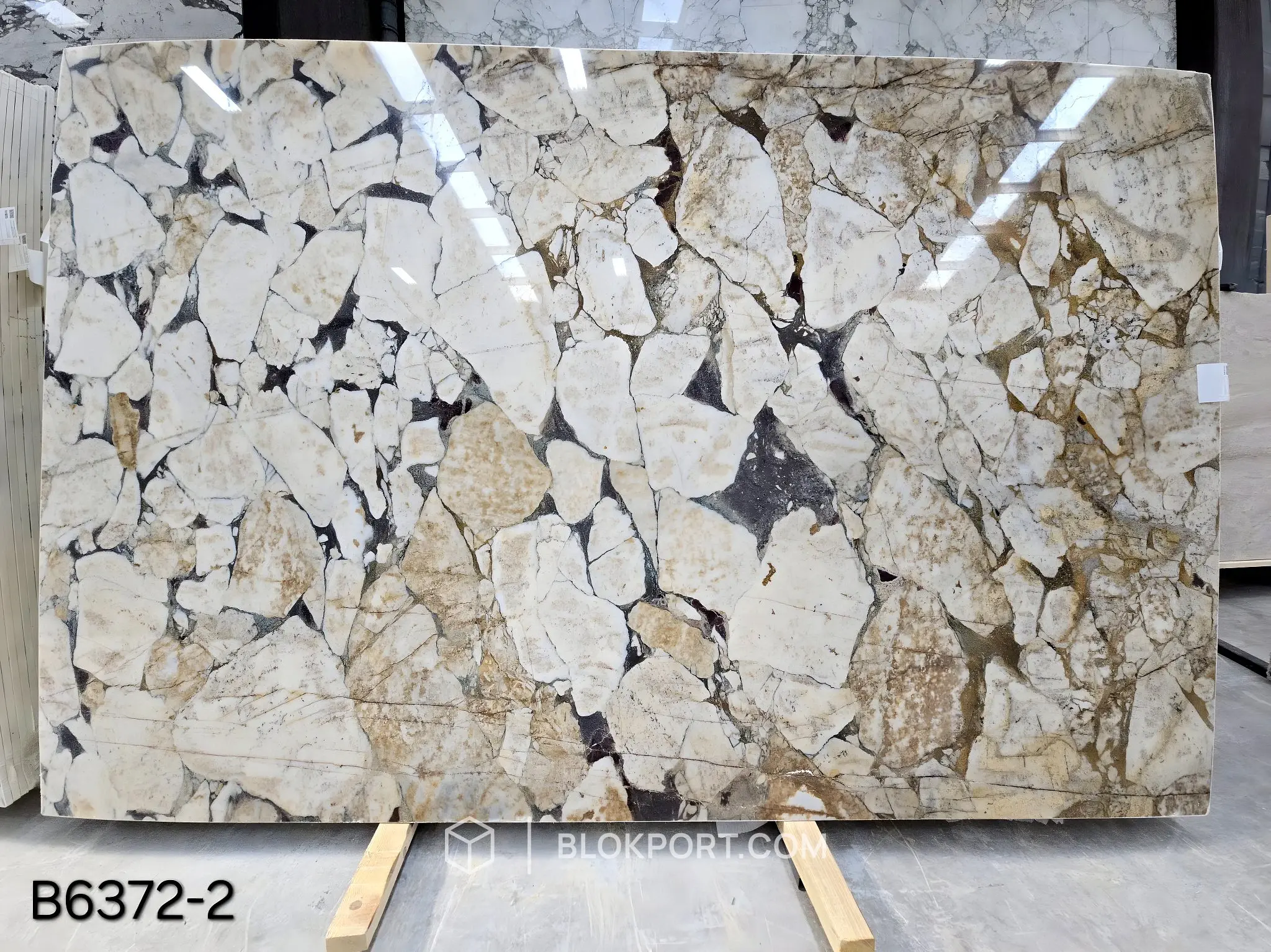 Calacatta Viola Lucidato Marmo, foto 1 di 13