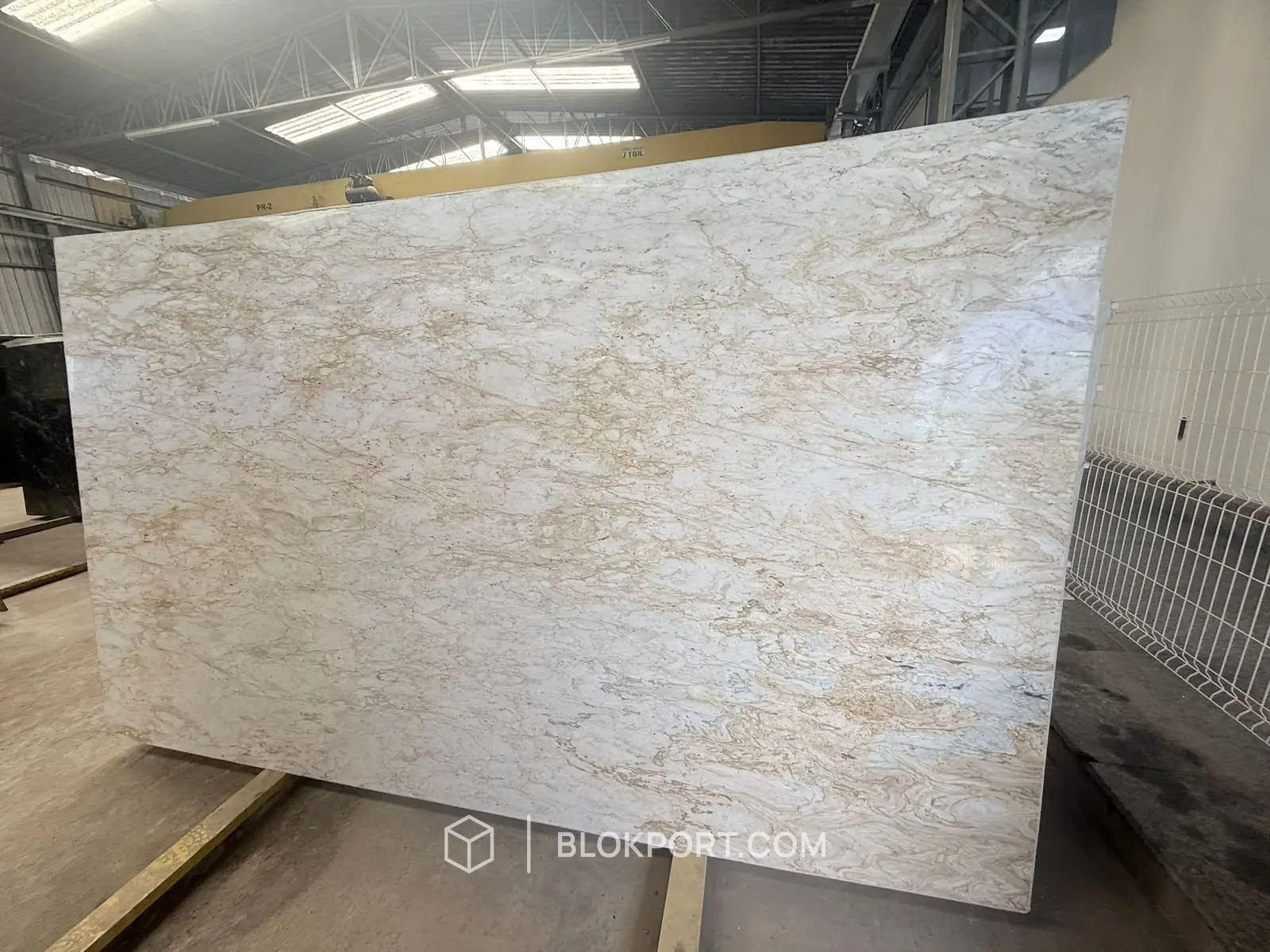 Calacatta Gold ملمع الدولوميت, الصورة 1 من 1