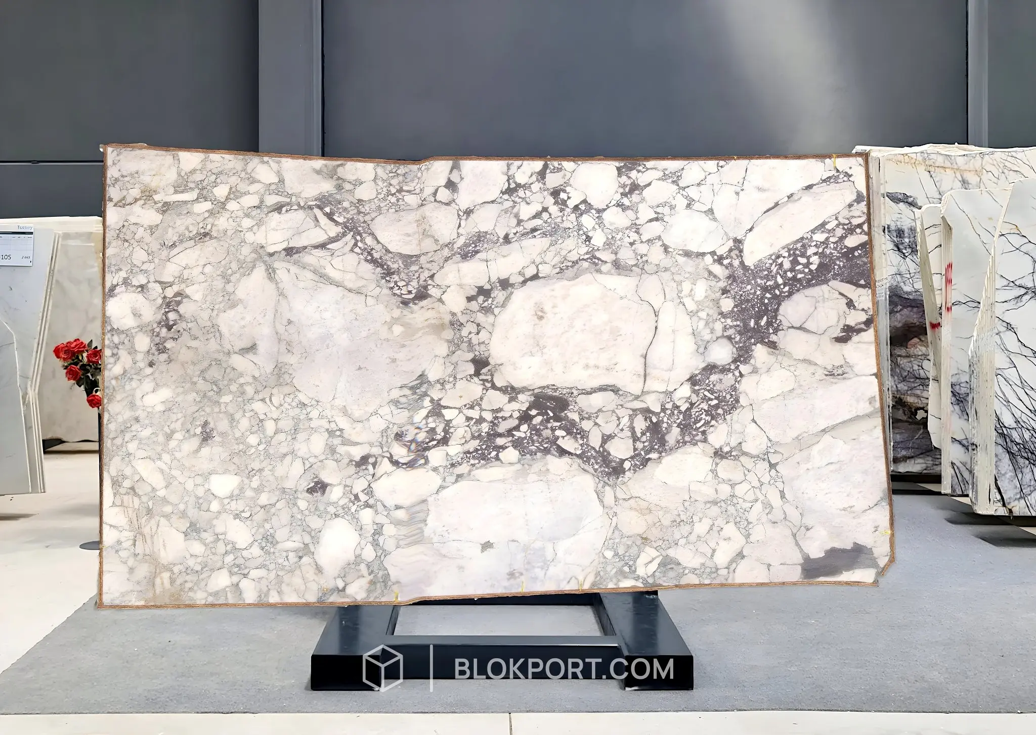 Calacatta Viola Honed Marble, photo 1 of 1