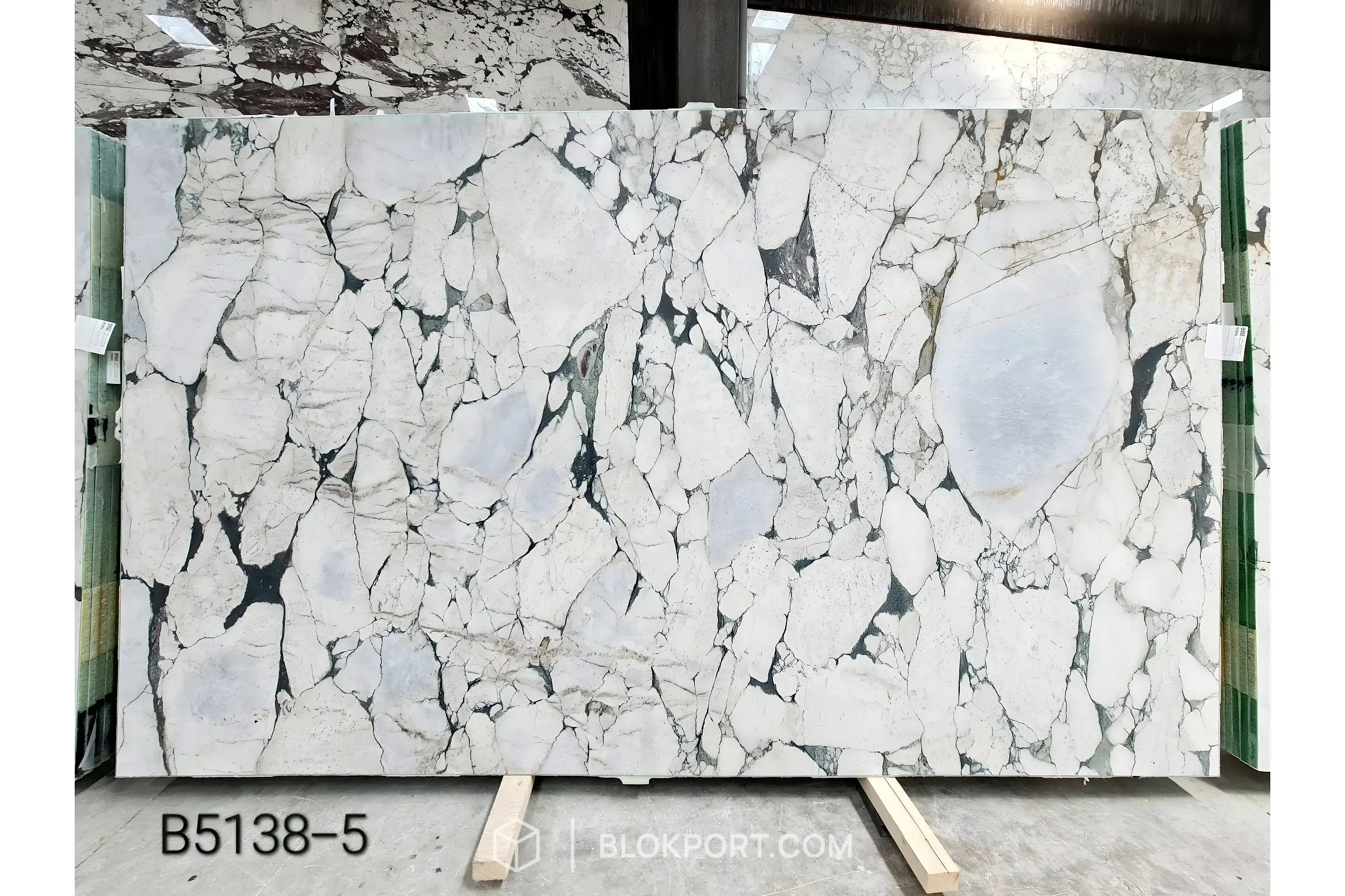 Calacatta Viola Honed Marble
