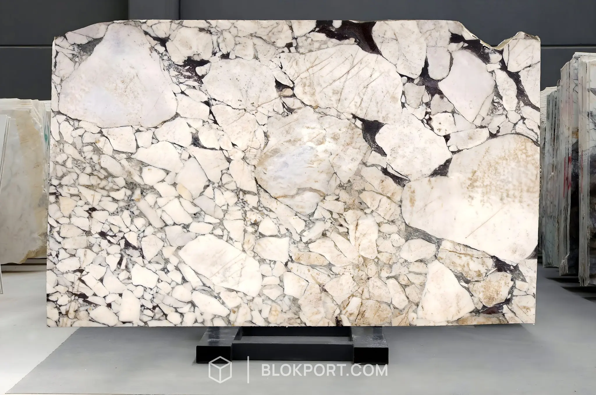 Calacatta Viola Honed Marble, photo 1 of 1
