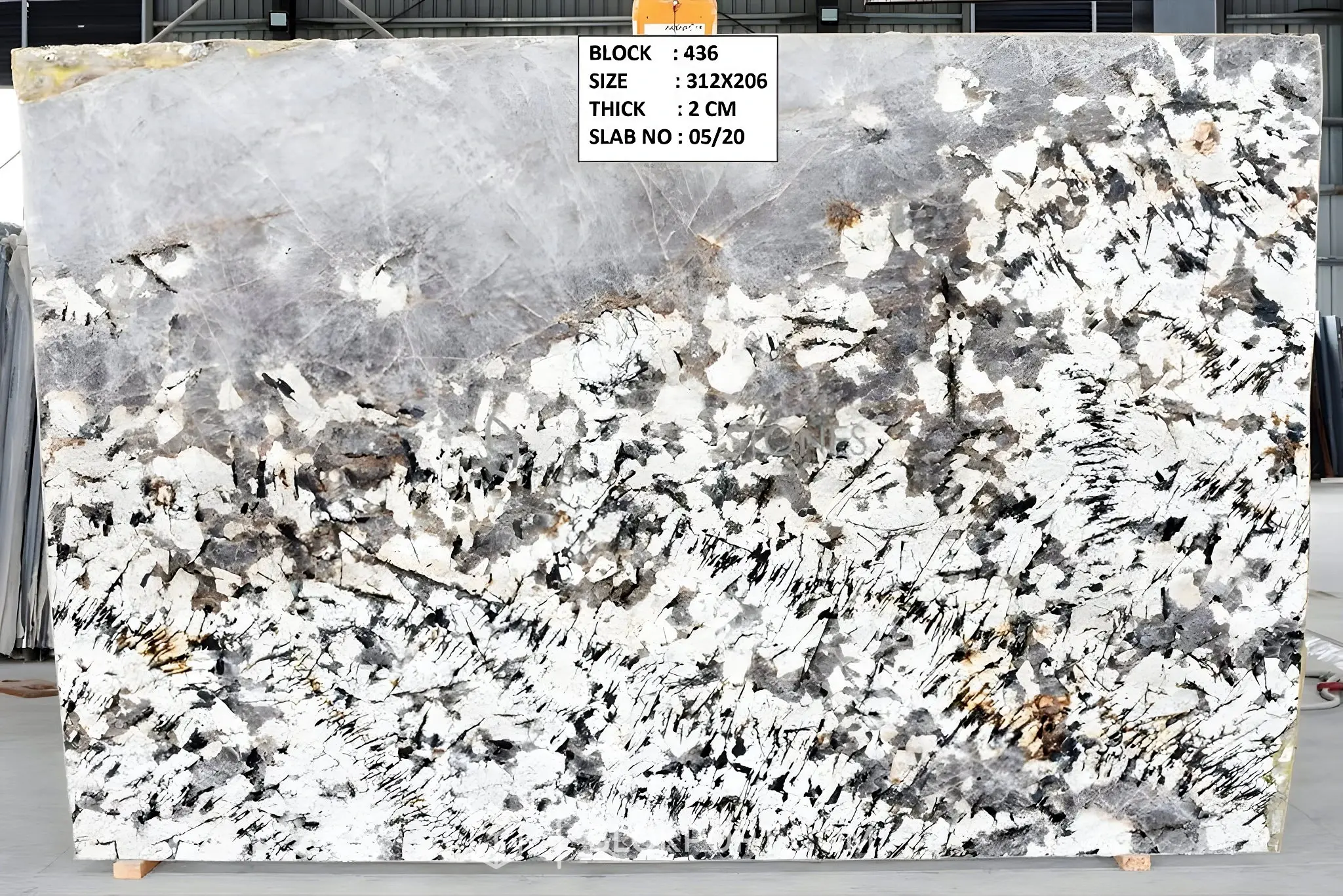 Splendor White Poli Granit, photo 1 sur 5