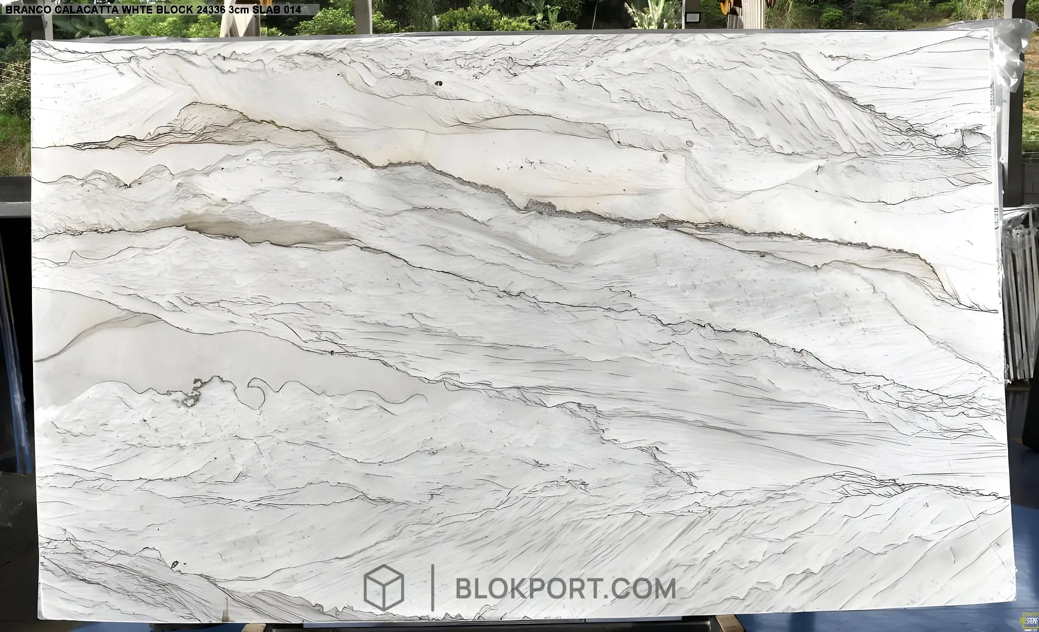 Calacatta White Silk Poli Dolomie, photo 1 sur 1