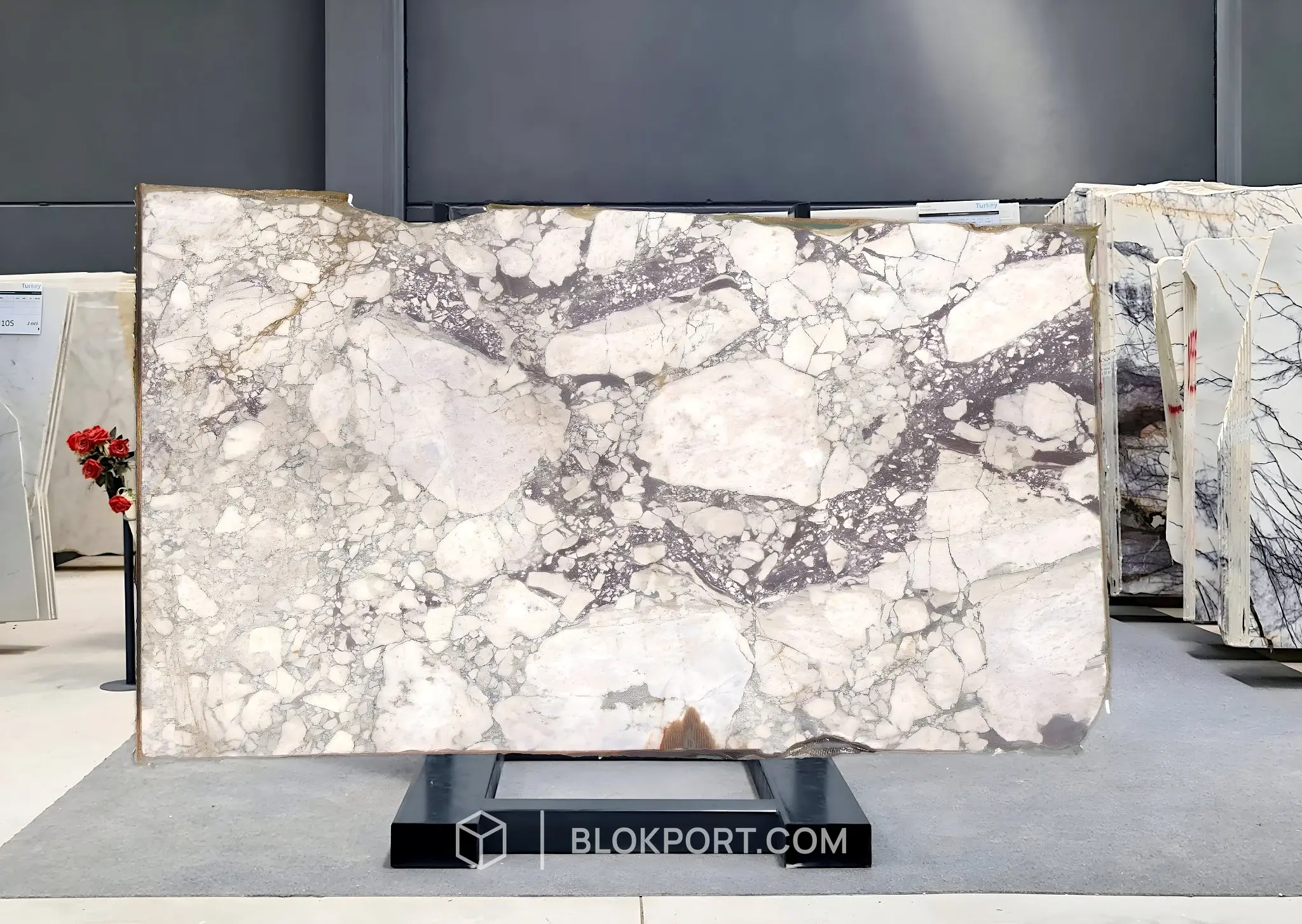Calacatta Viola Honed Marble, photo 1 of 1