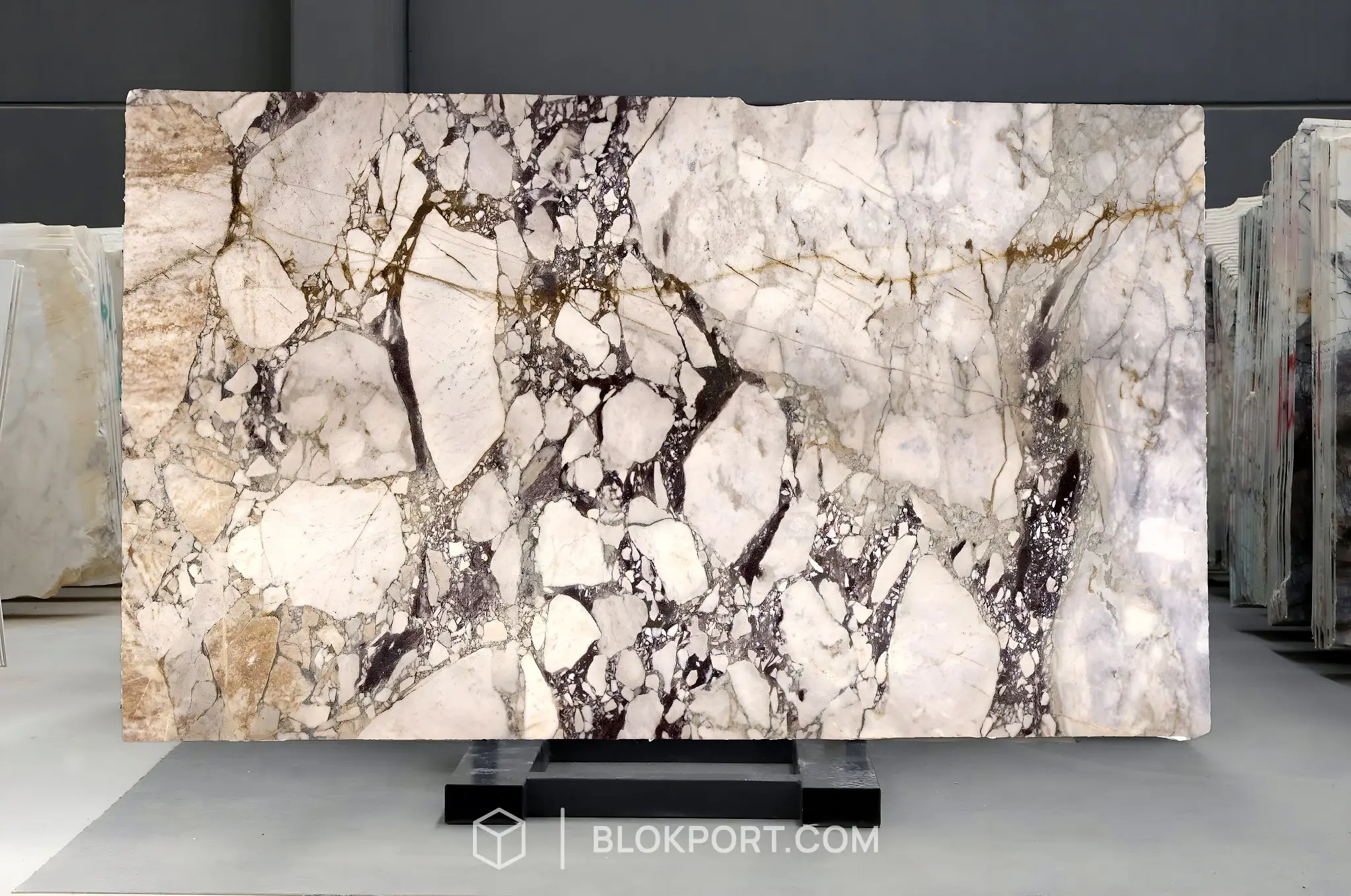 Calacatta Viola Honed Marble, photo 1 of 1