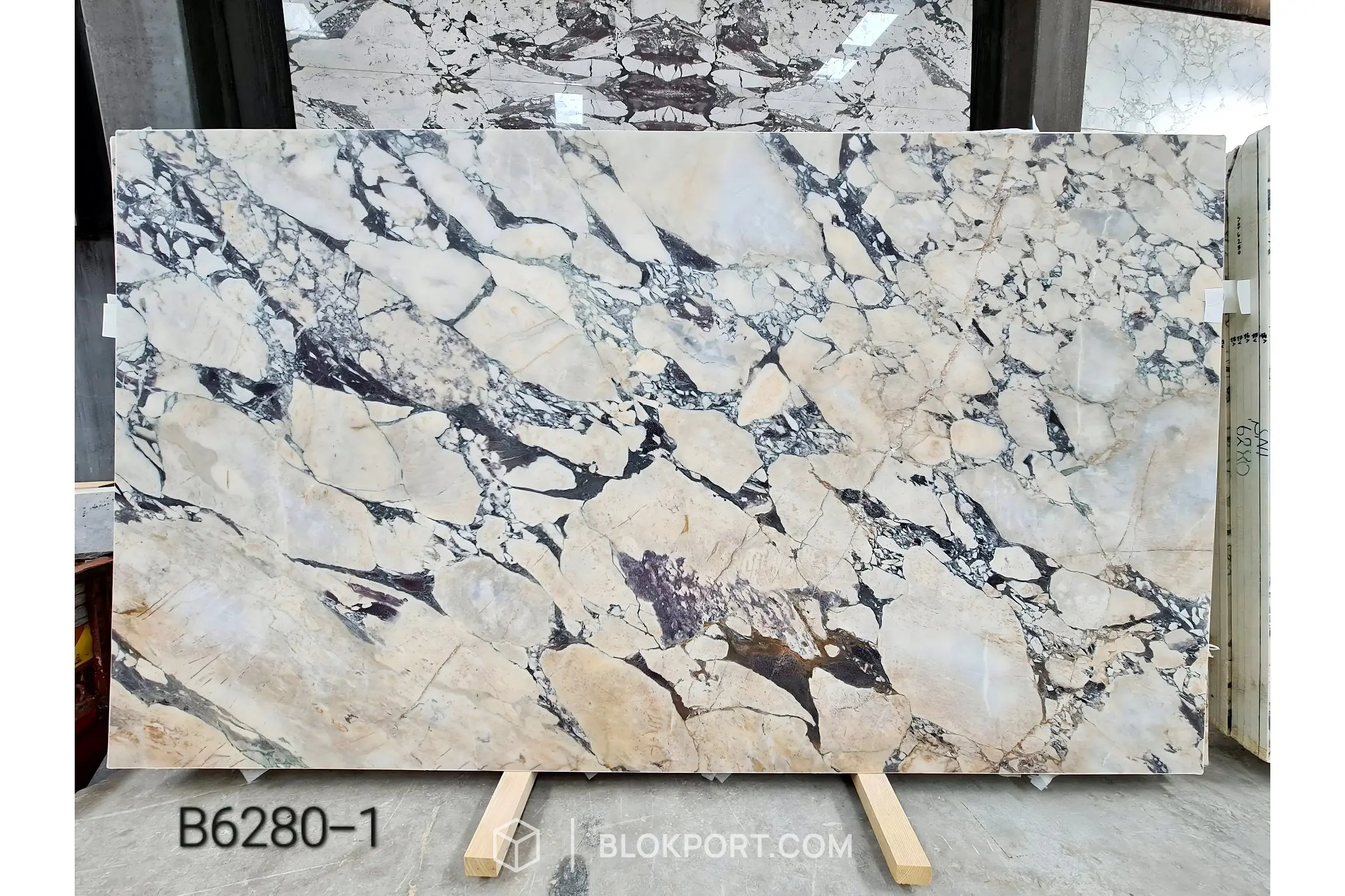 Calacatta Viola Honed Marble