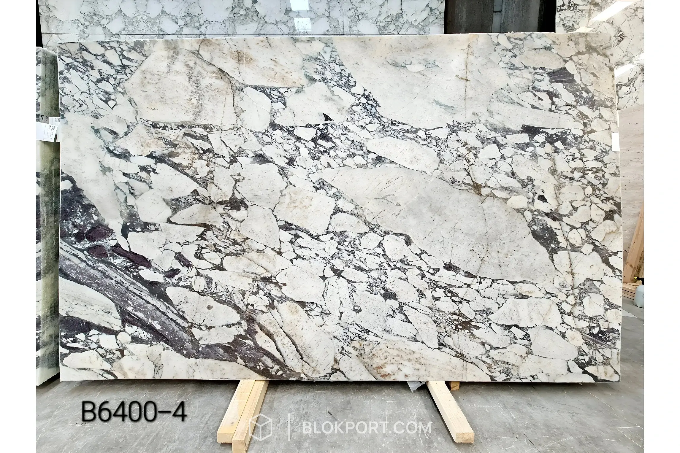 Calacatta Viola Honed Marble