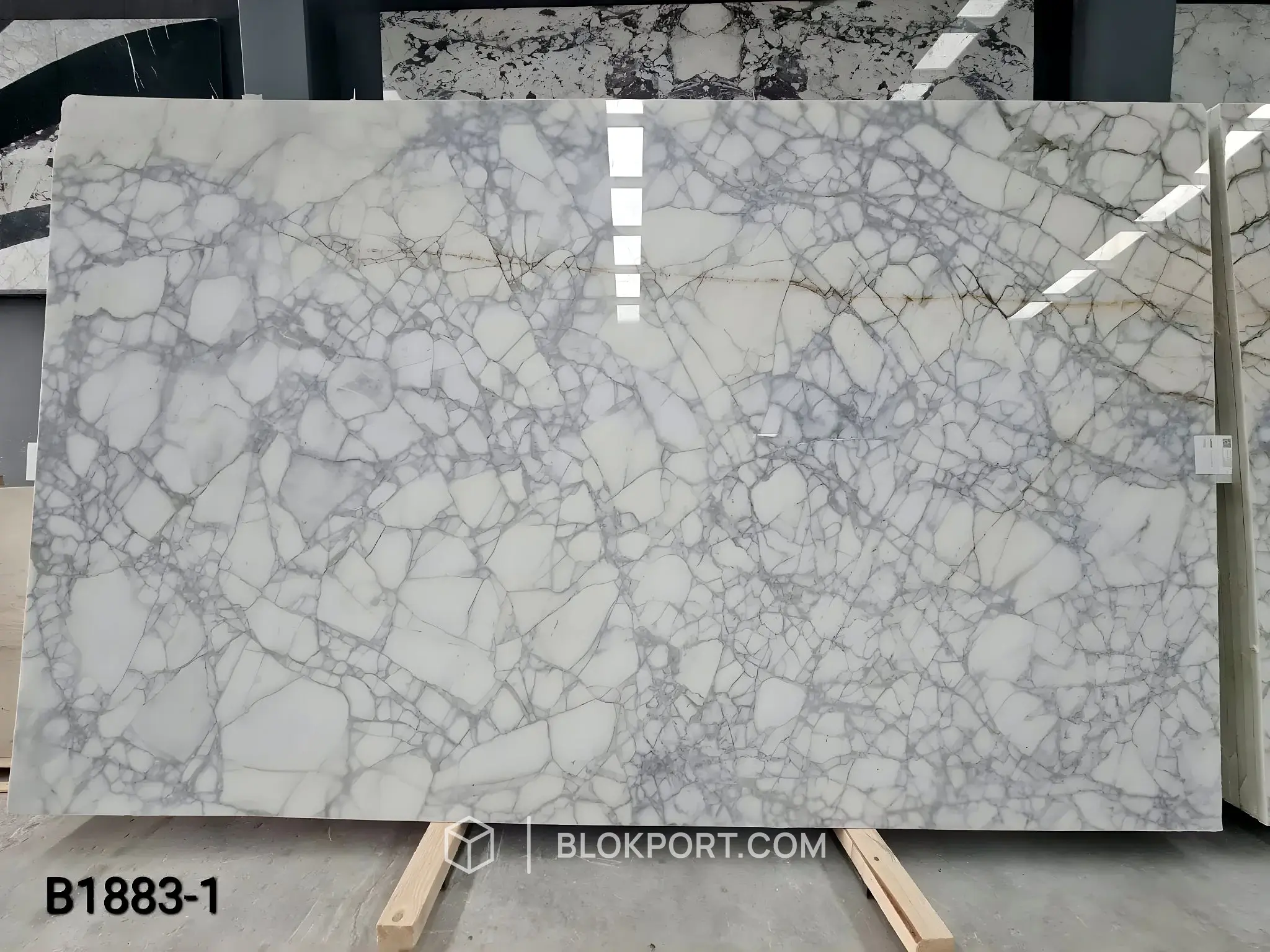 Calacatta Lucidato Marmo, foto 1 di 7