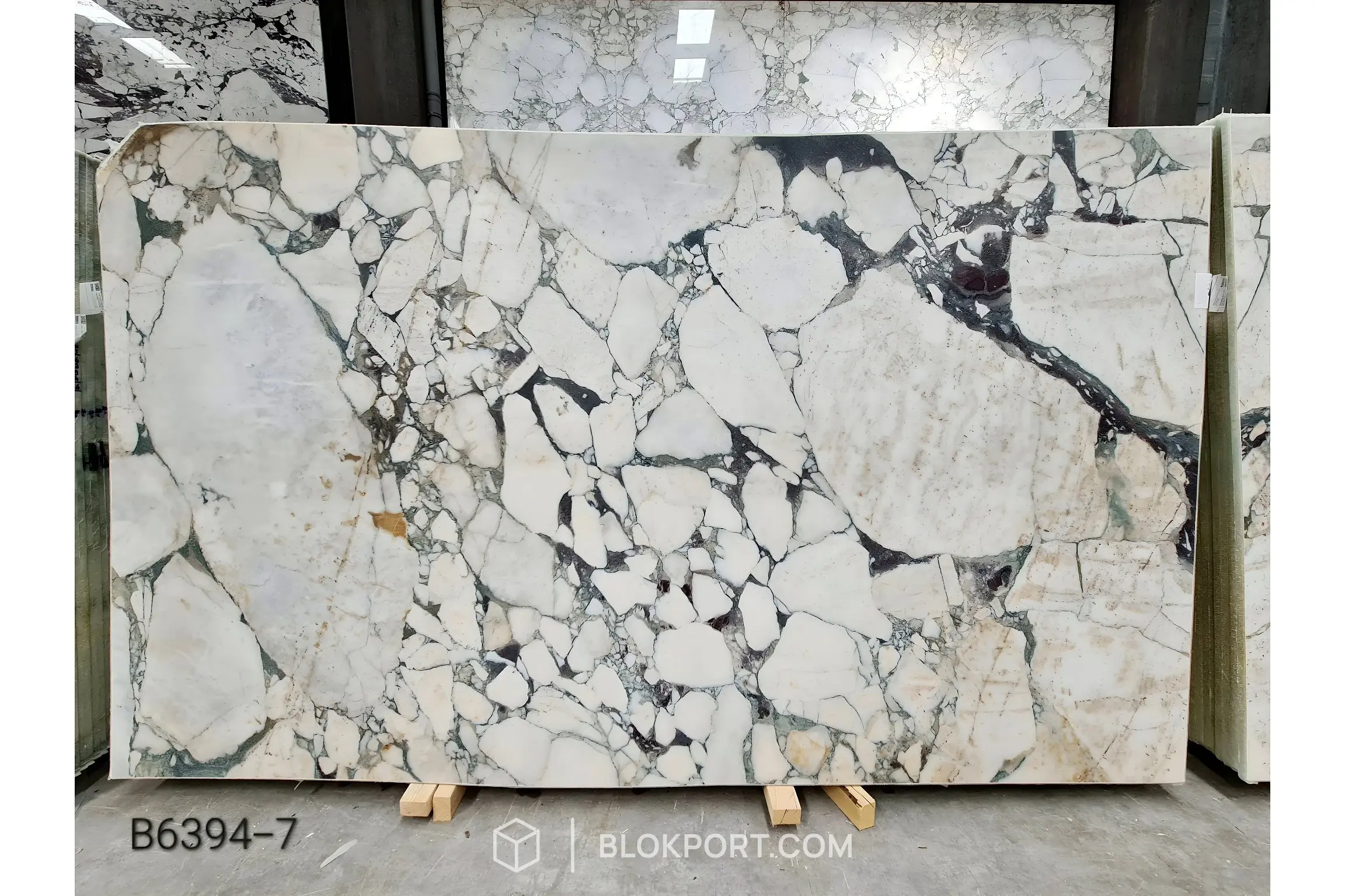 Image 8