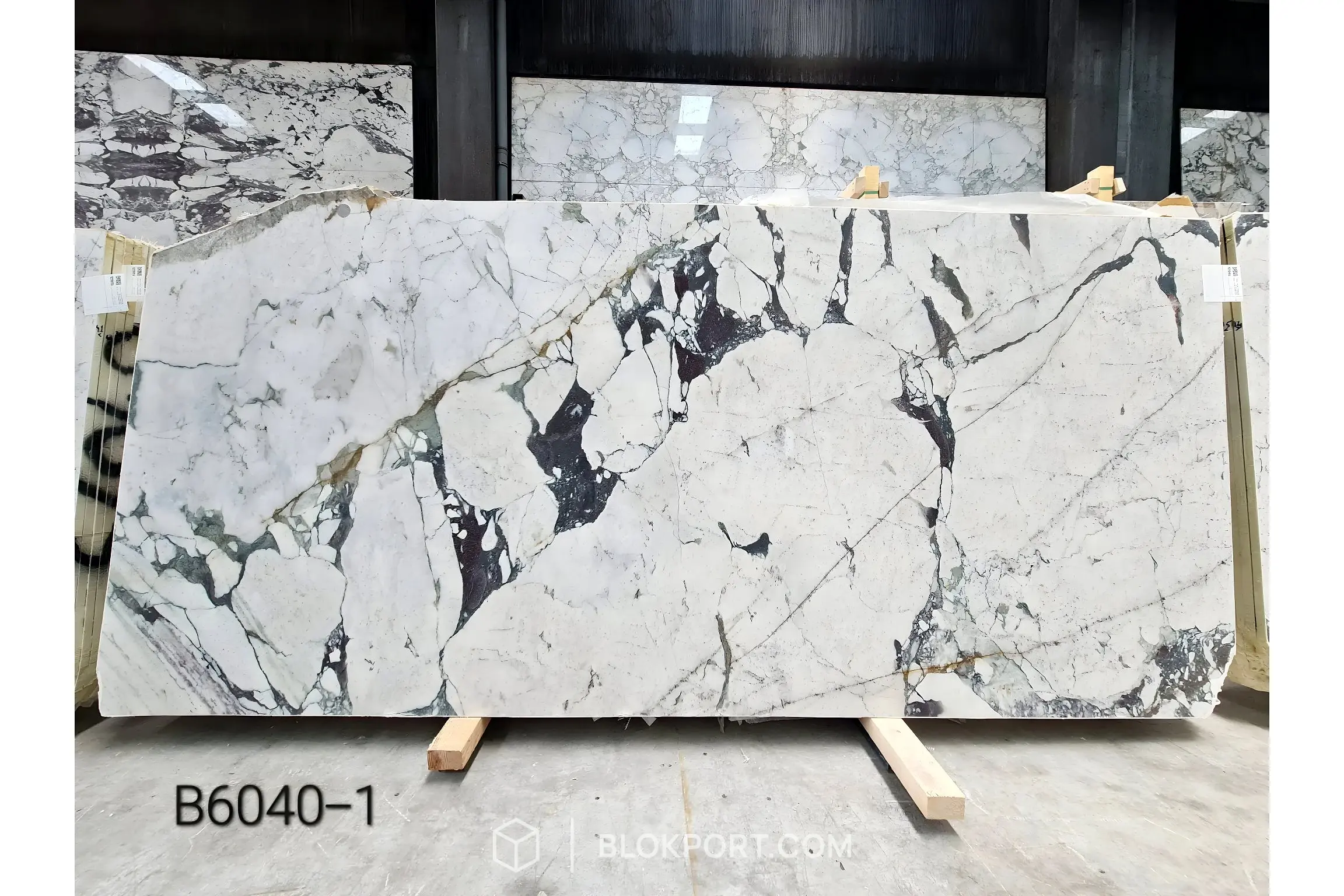 Calacatta Viola Honed Marble