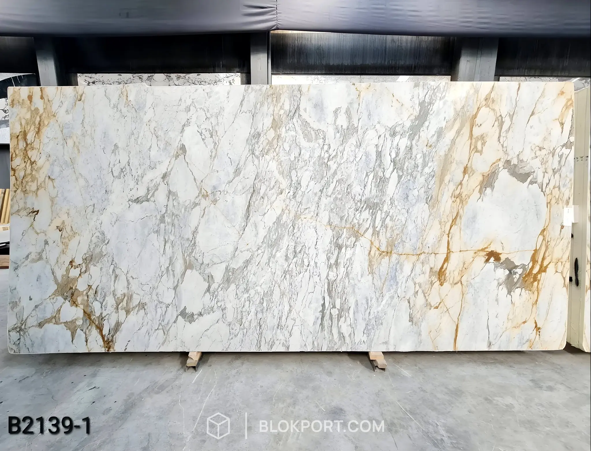 Calacatta Gold Adouci Marbre, photo 1 sur 4