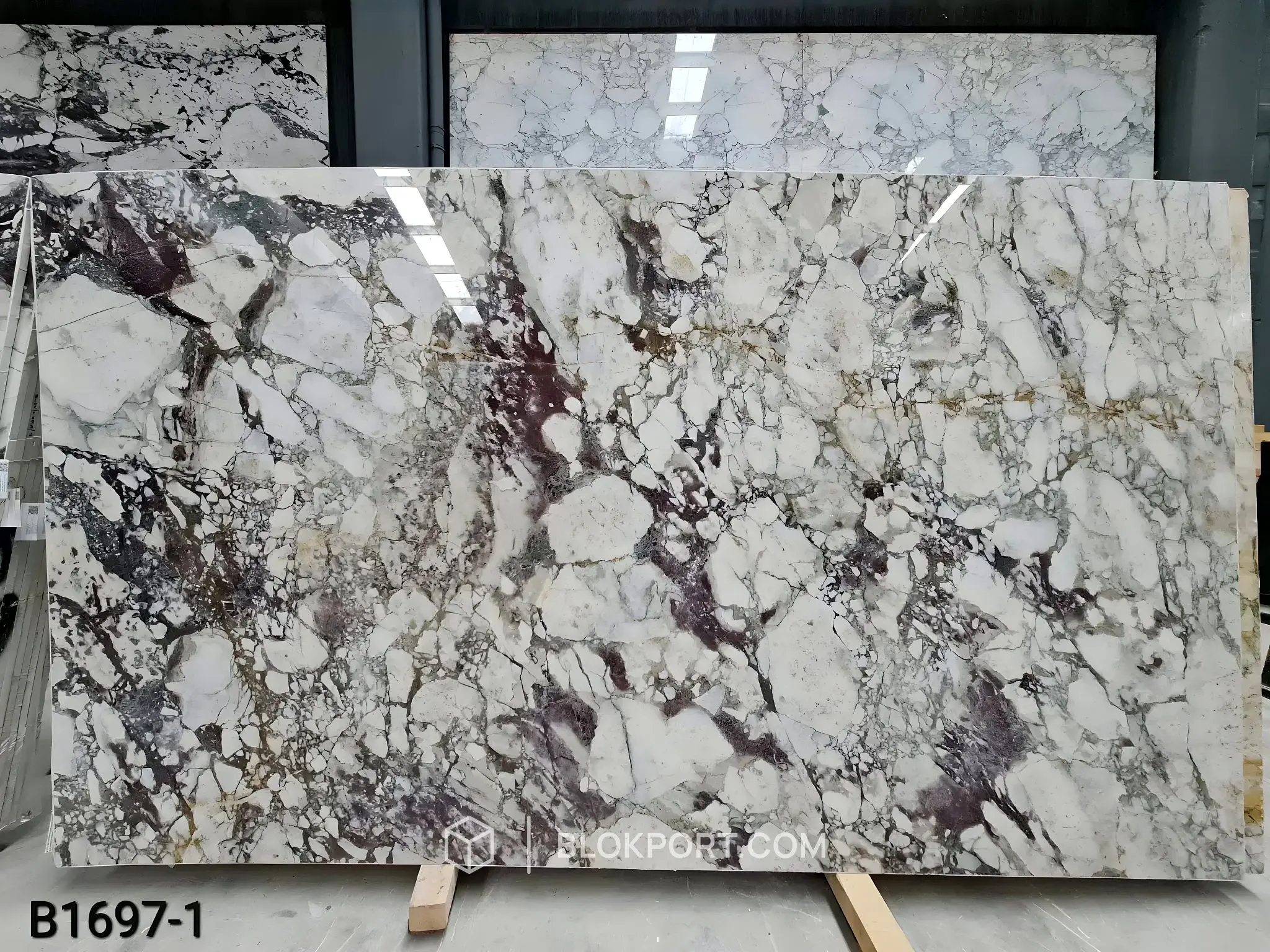 Calacatta Viola Poli Marbre, photo 1 sur 5