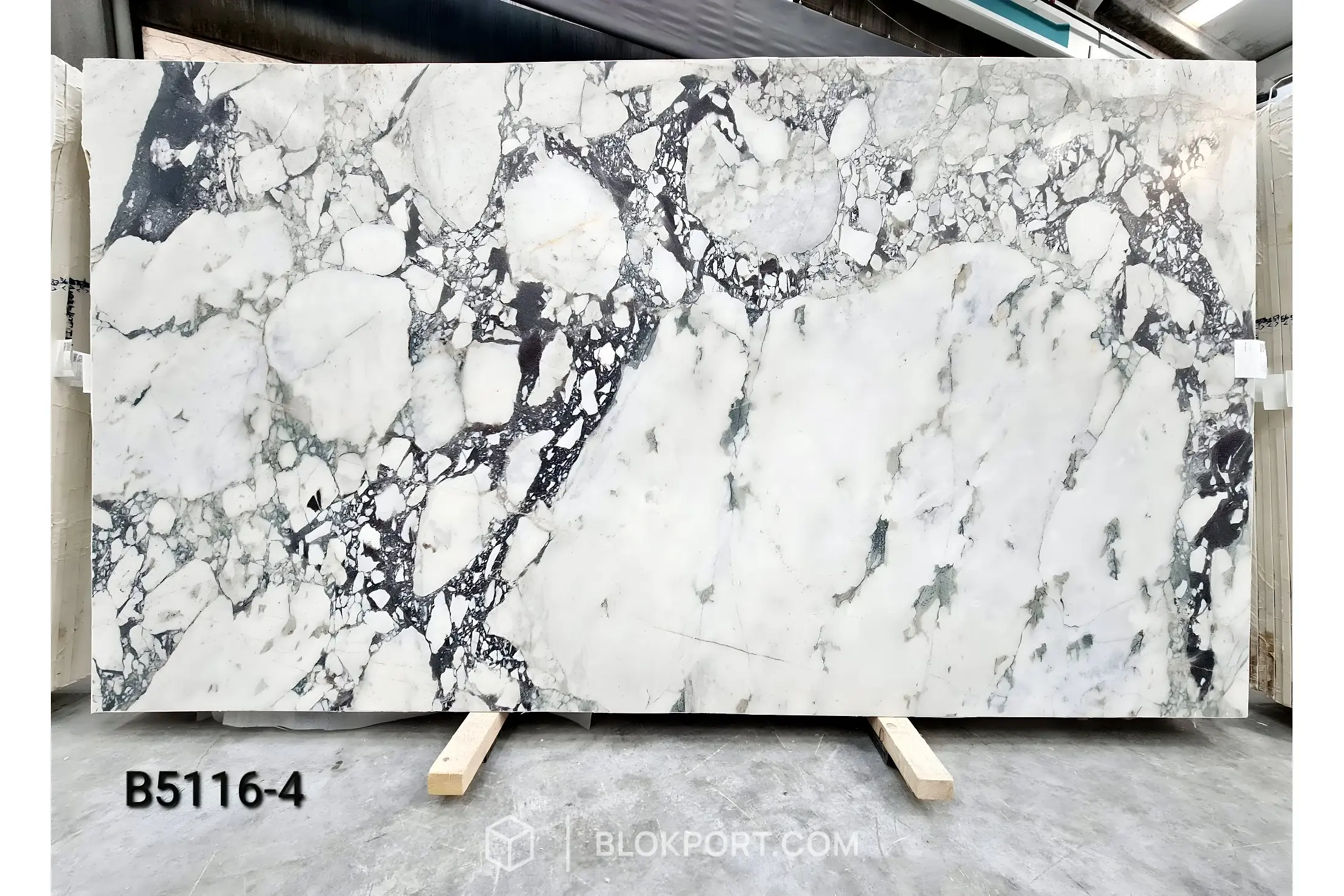 Calacatta Viola Honed Marble