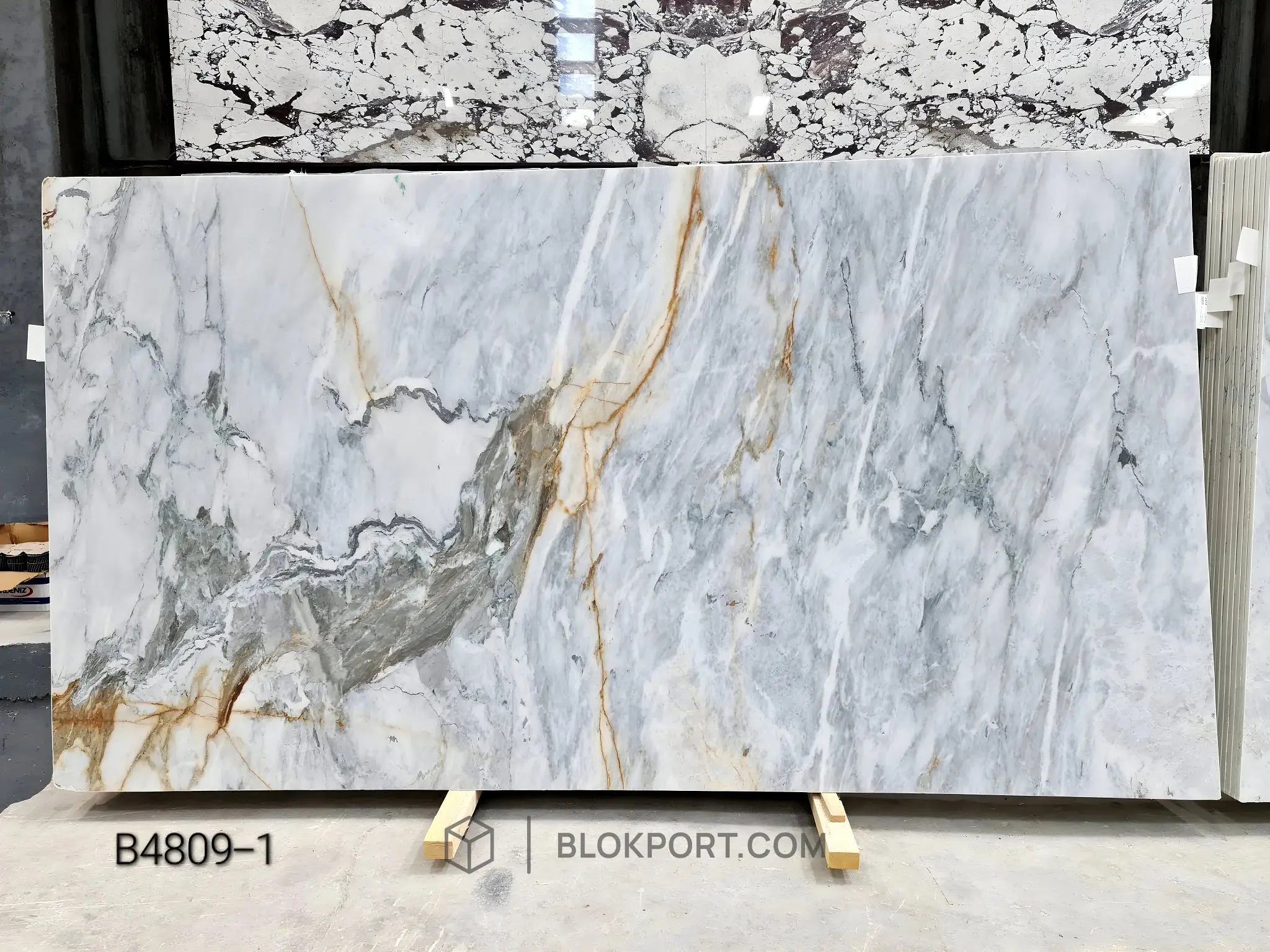 Calacatta Gold Levigato Marmo, foto 1 di 12
