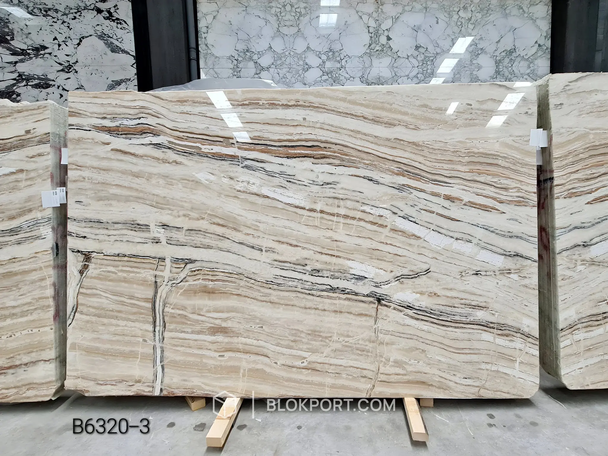 Jurassic Onyx Lucidato, foto 1 di 86