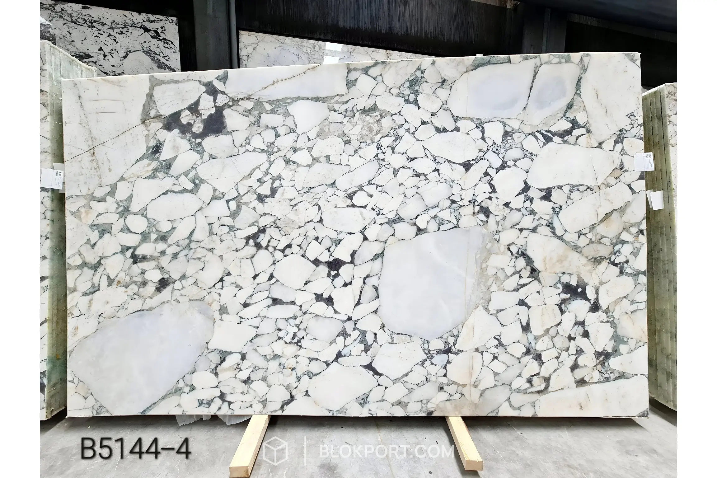 Calacatta Viola Honed Marble