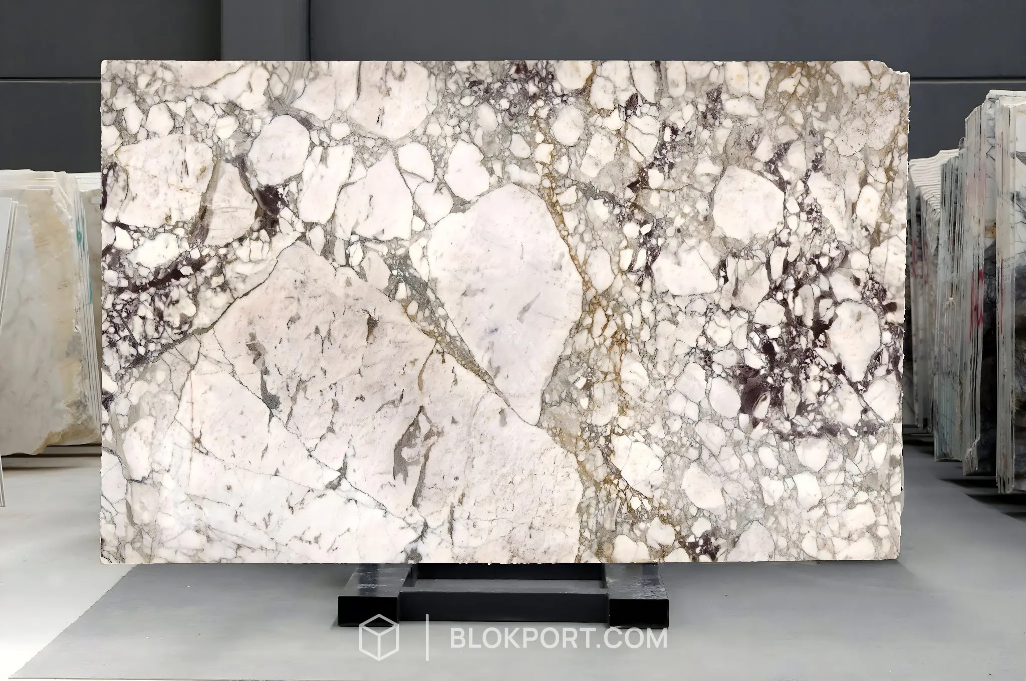 Calacatta Viola Honed Marble, photo 1 of 1
