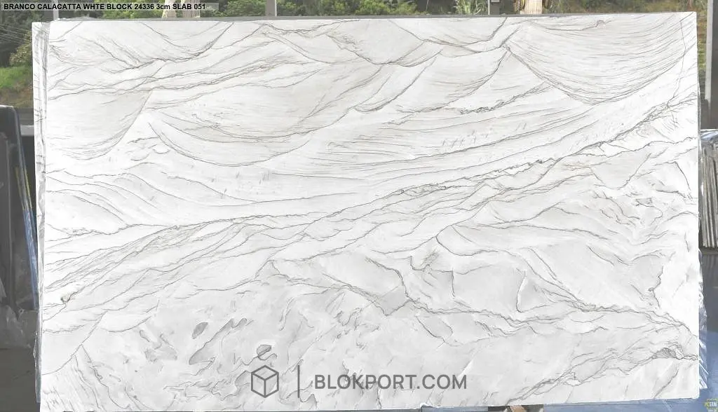 Calacatta White Silk ملمع الدولوميت, الصورة 1 من 1
