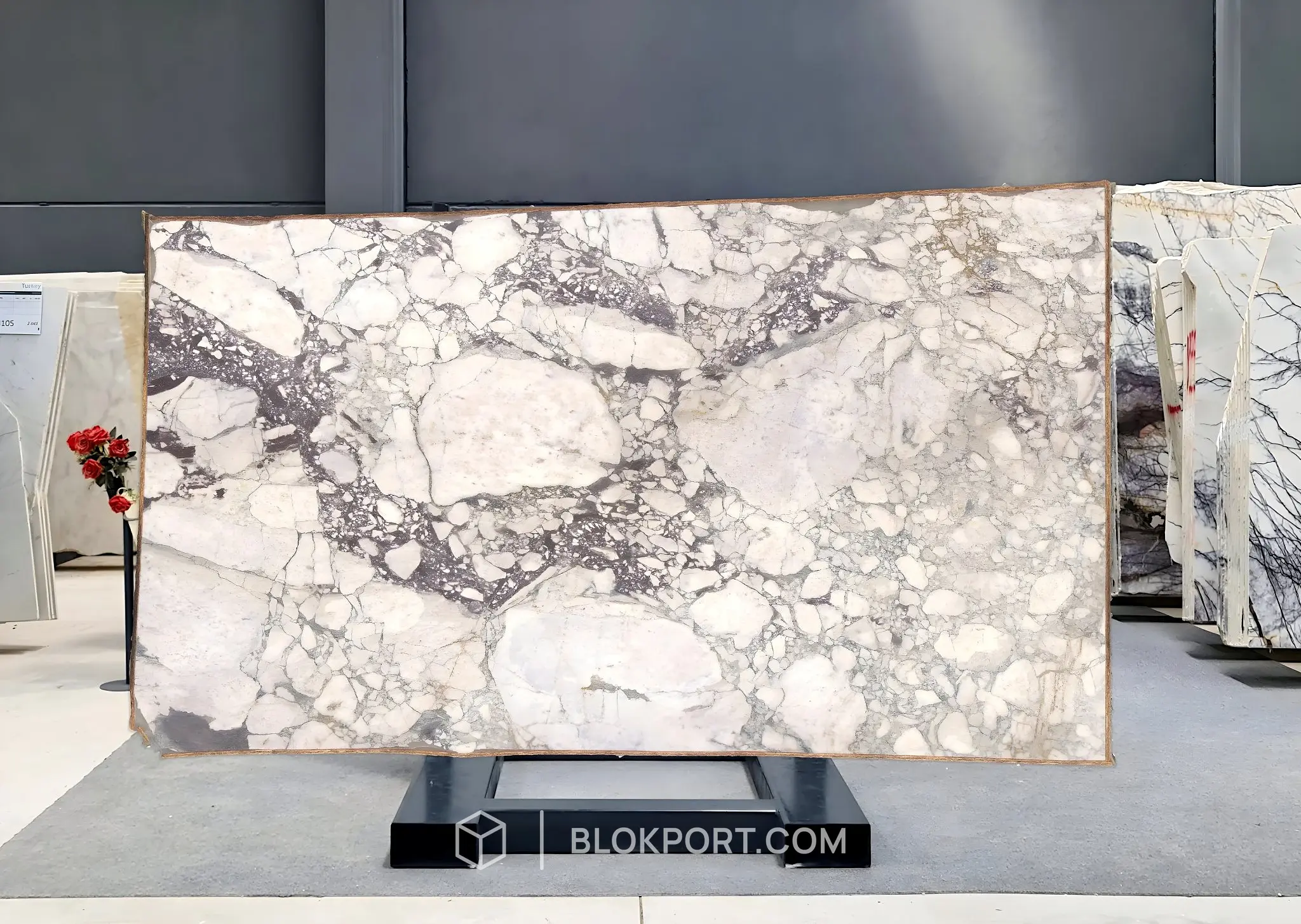 Calacatta Viola Honed Marble, photo 1 of 1