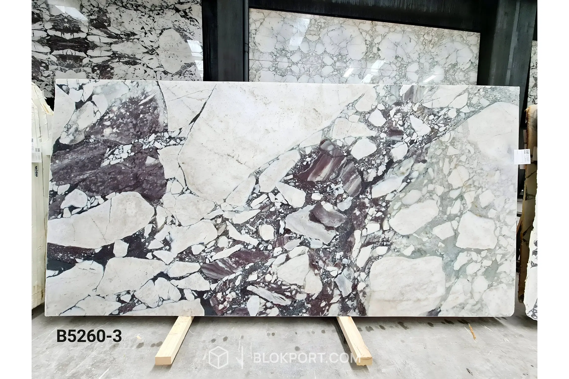 Calacatta Viola Honed Marble
