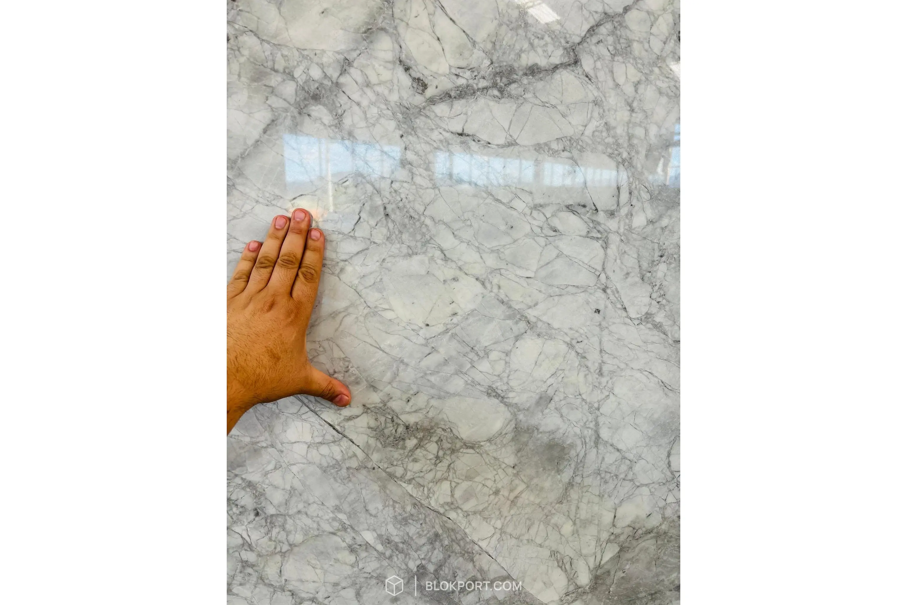Arabescatto Extra Polished Dolomite