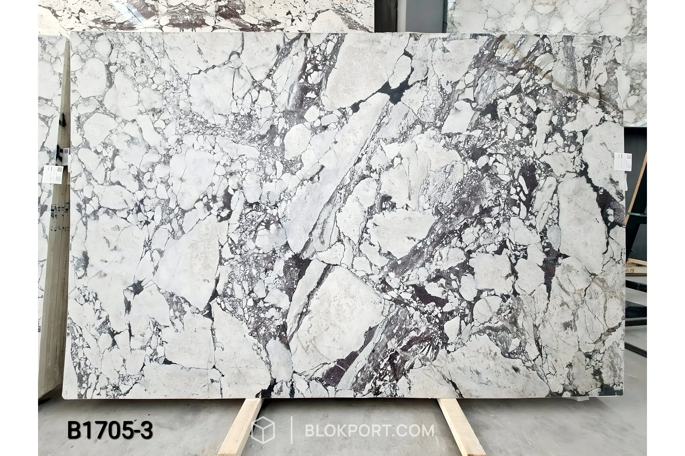 Calacatta Viola Honed Marble