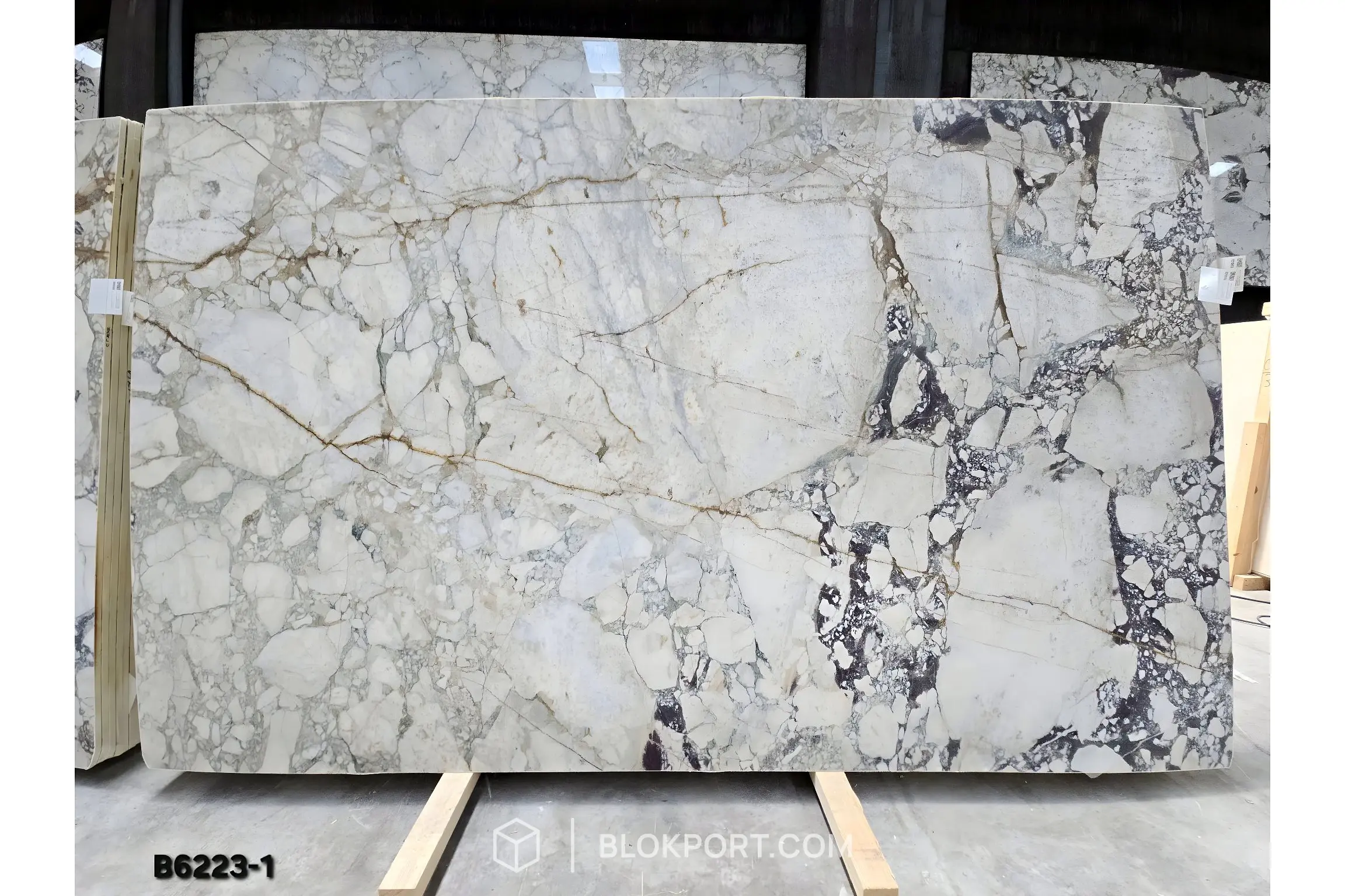 Calacatta Viola Honed Marble