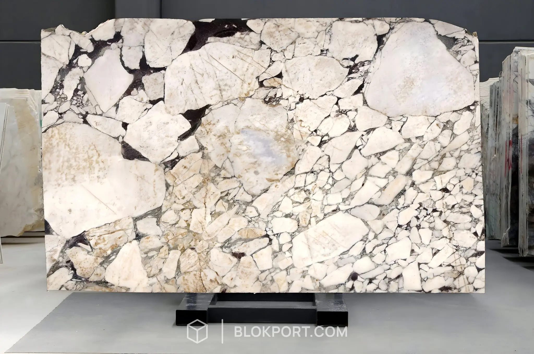 Calacatta Viola Honed Marble, photo 1 of 1