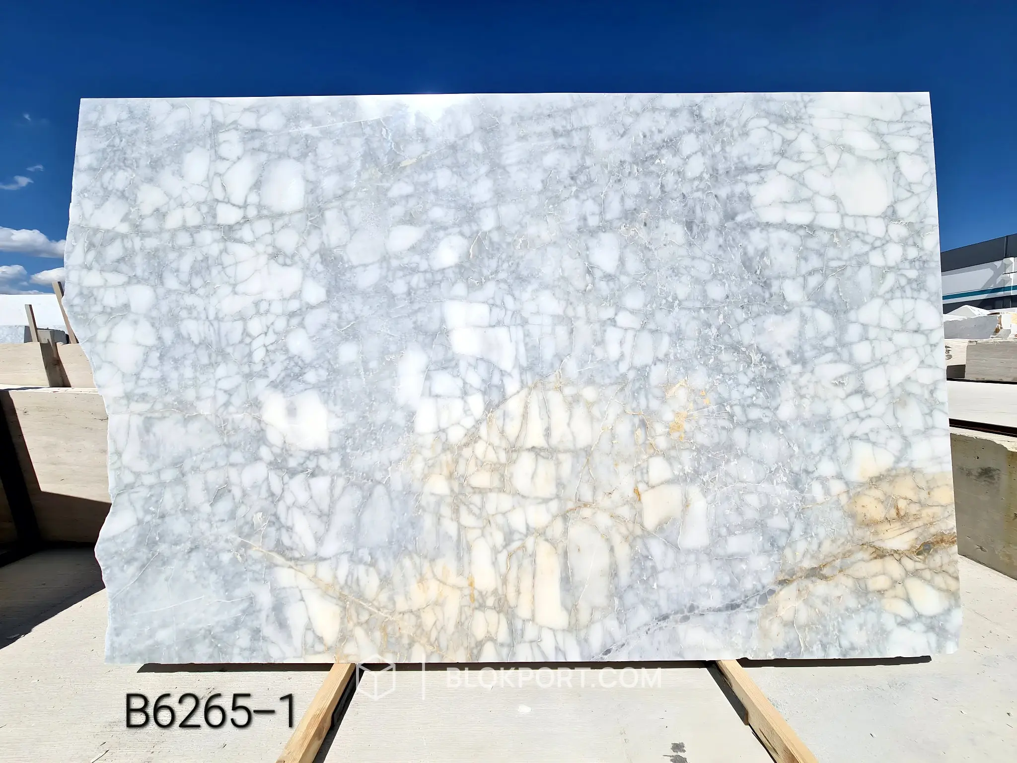Bianco Venato Lucidato Marmo, foto 1 di 3