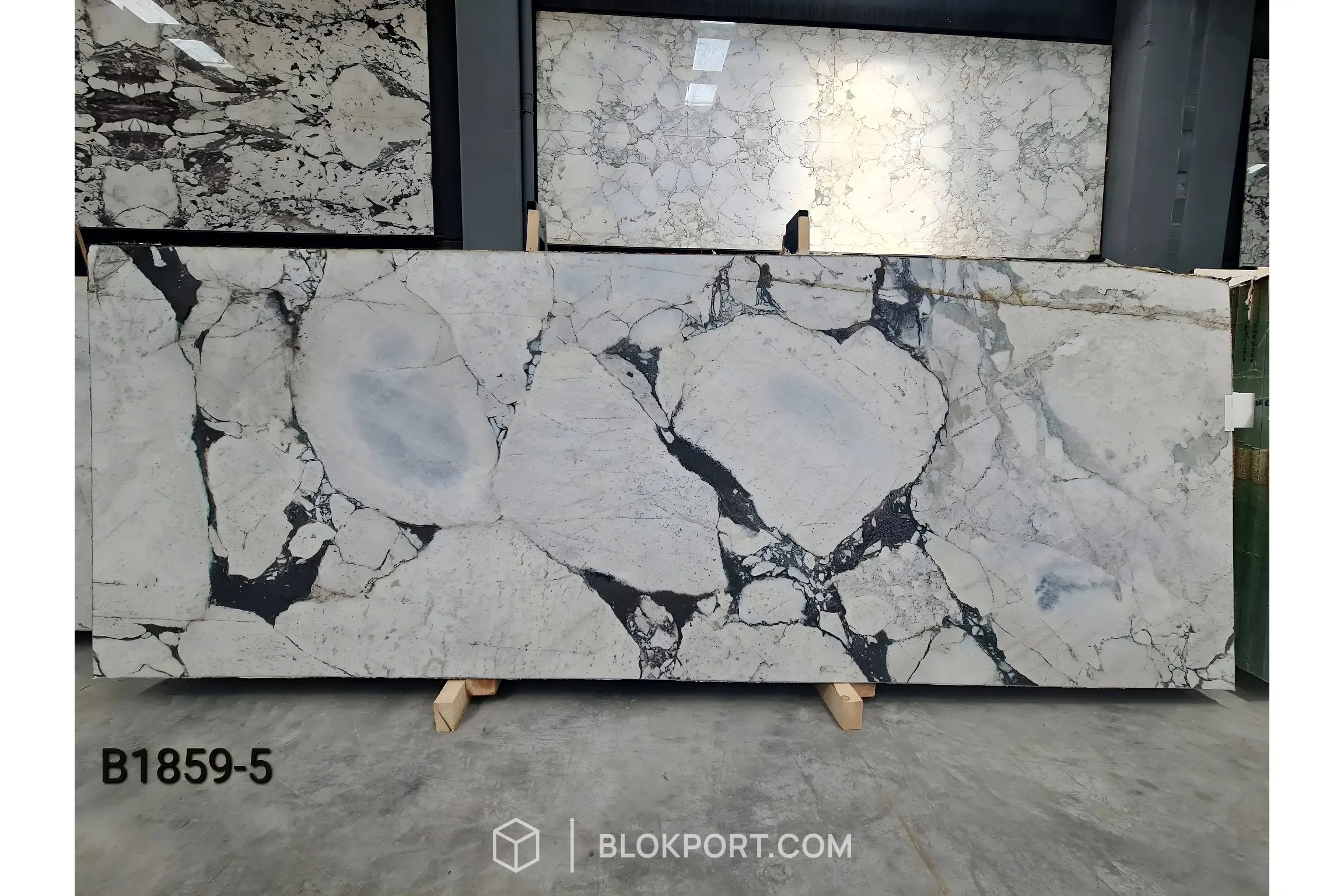 Calacatta Viola Honed Marble