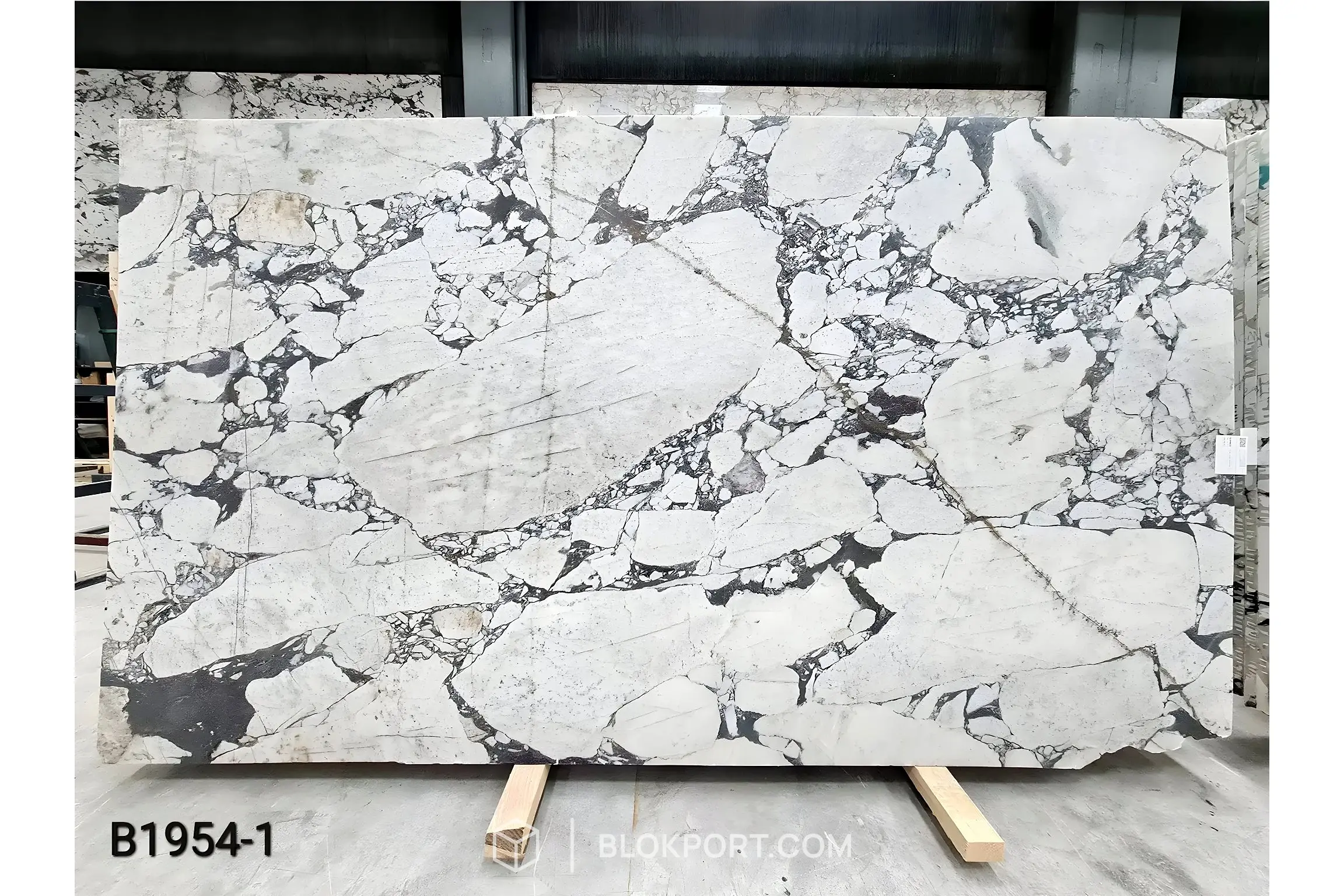 Calacatta Viola Brushed Marble