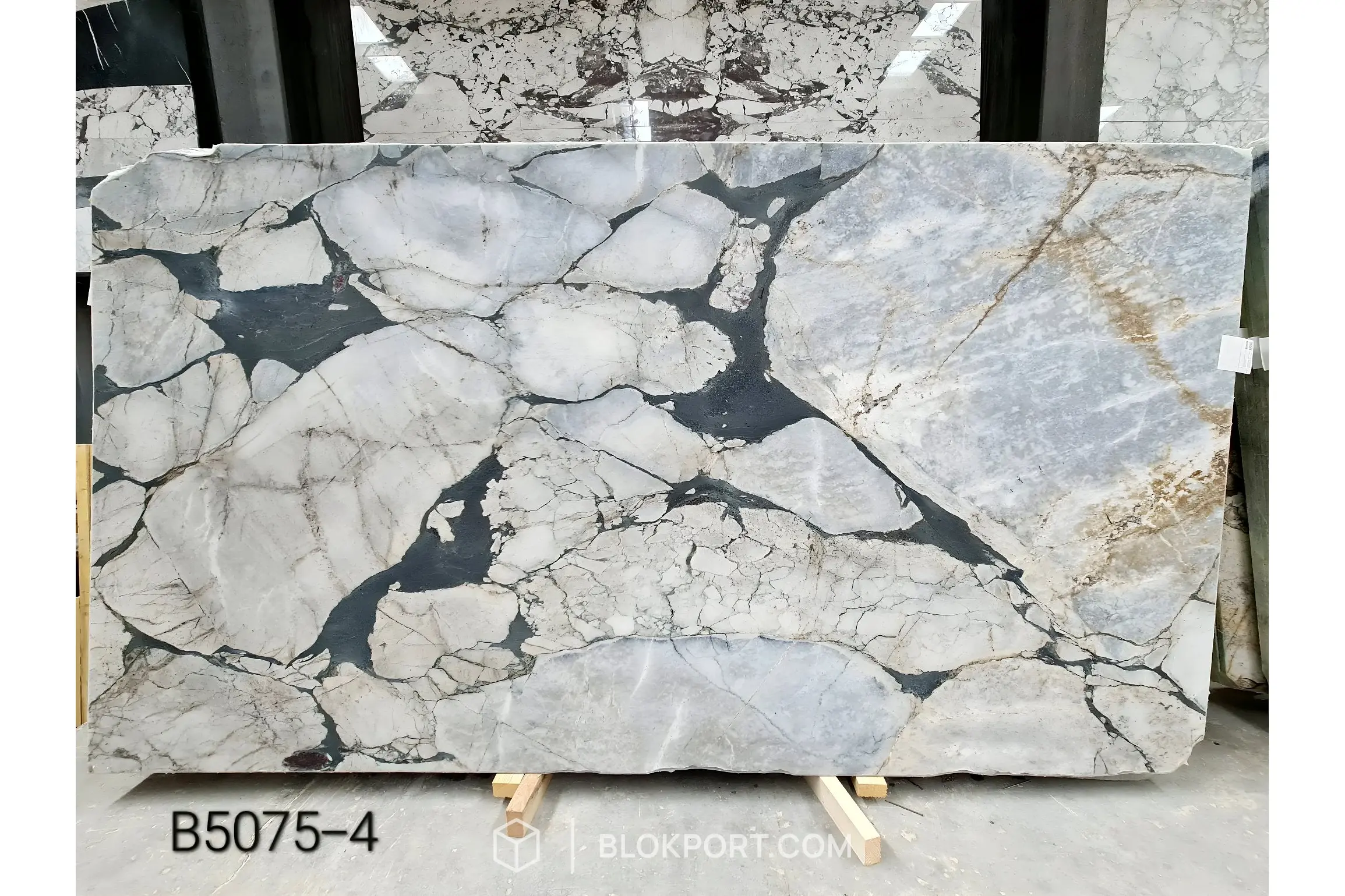 Calacatta Viola Honed Marble