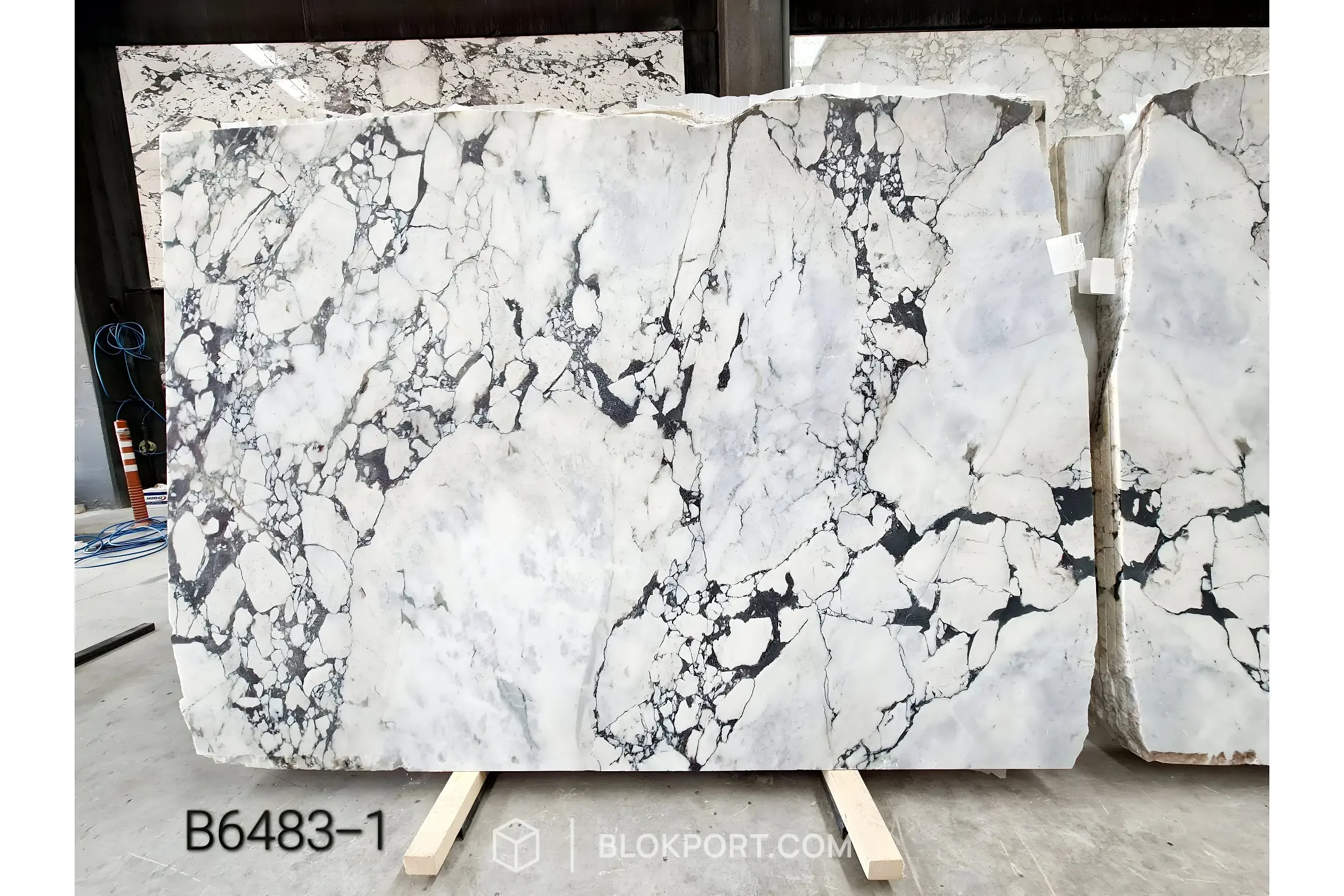 Calacatta Viola Brushed Marble
