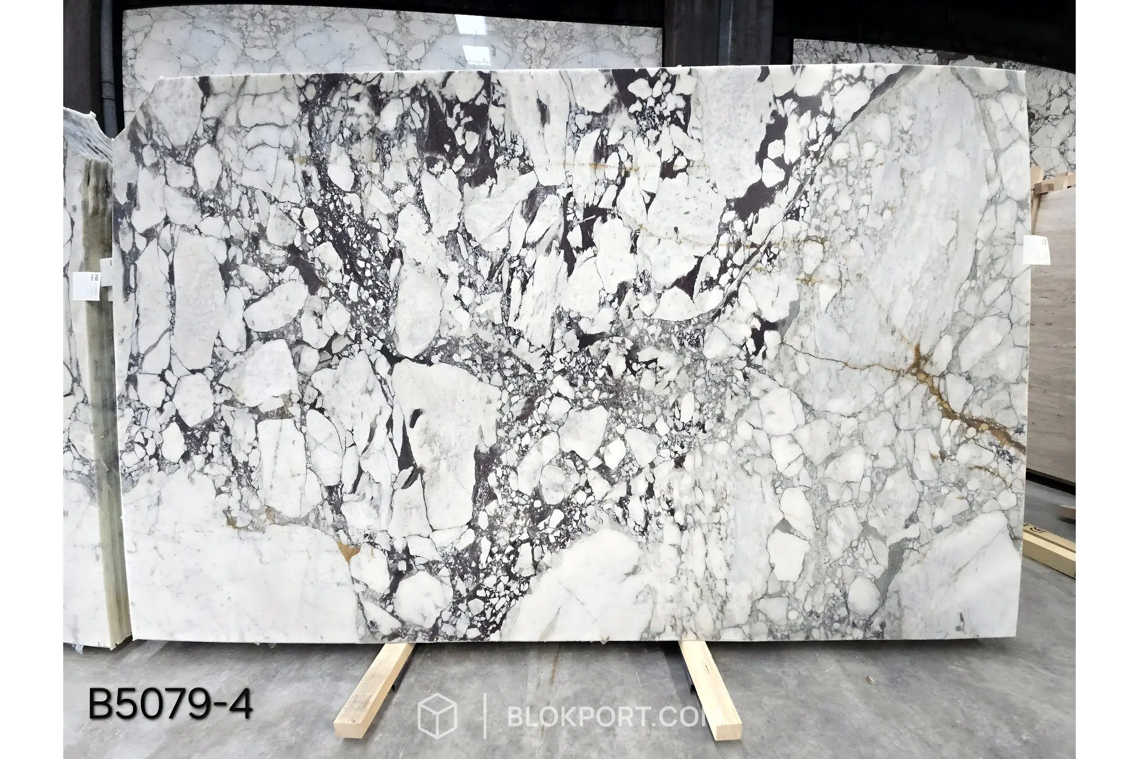 Calacatta Viola Honed Marble