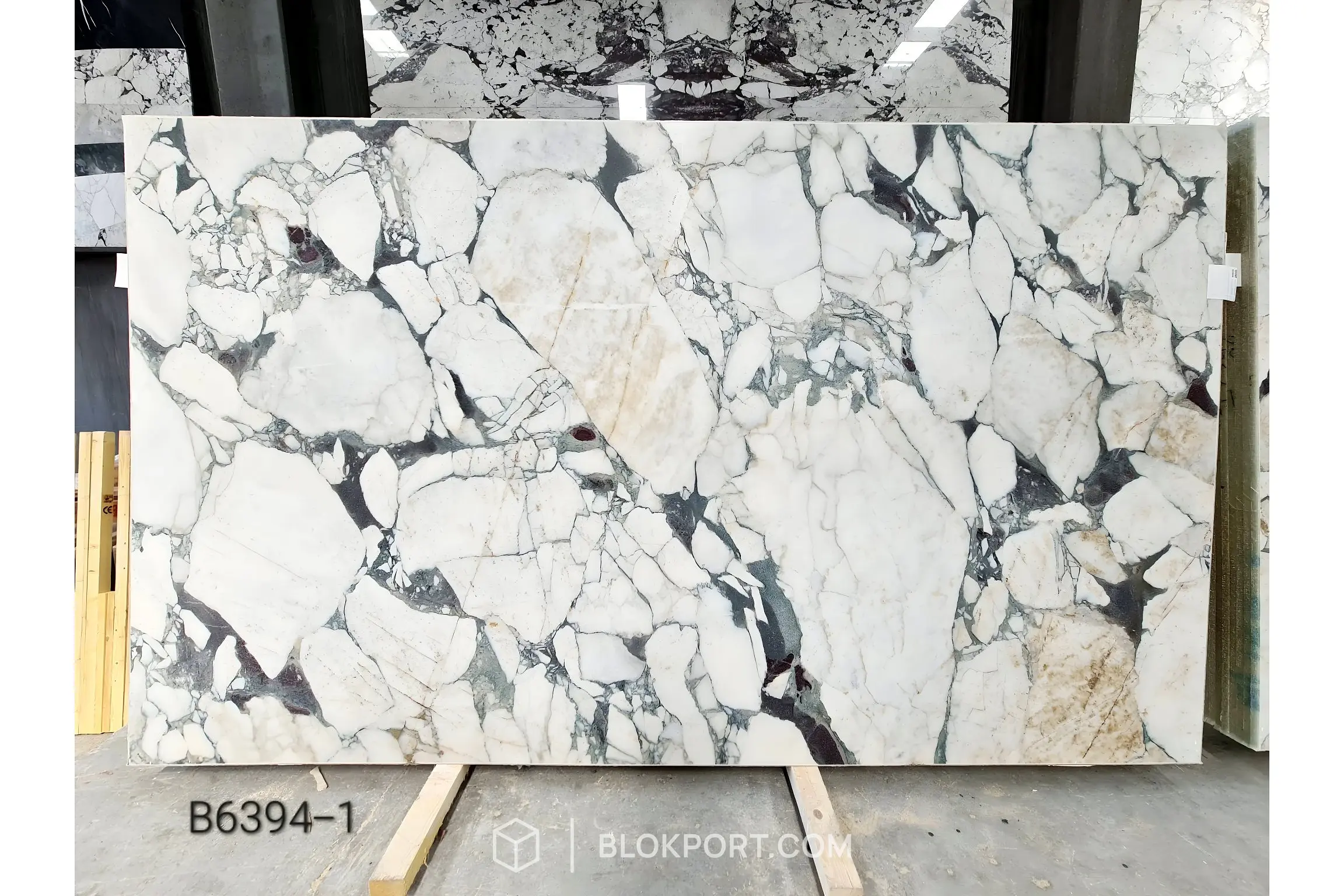 Calacatta Viola Honed Marble
