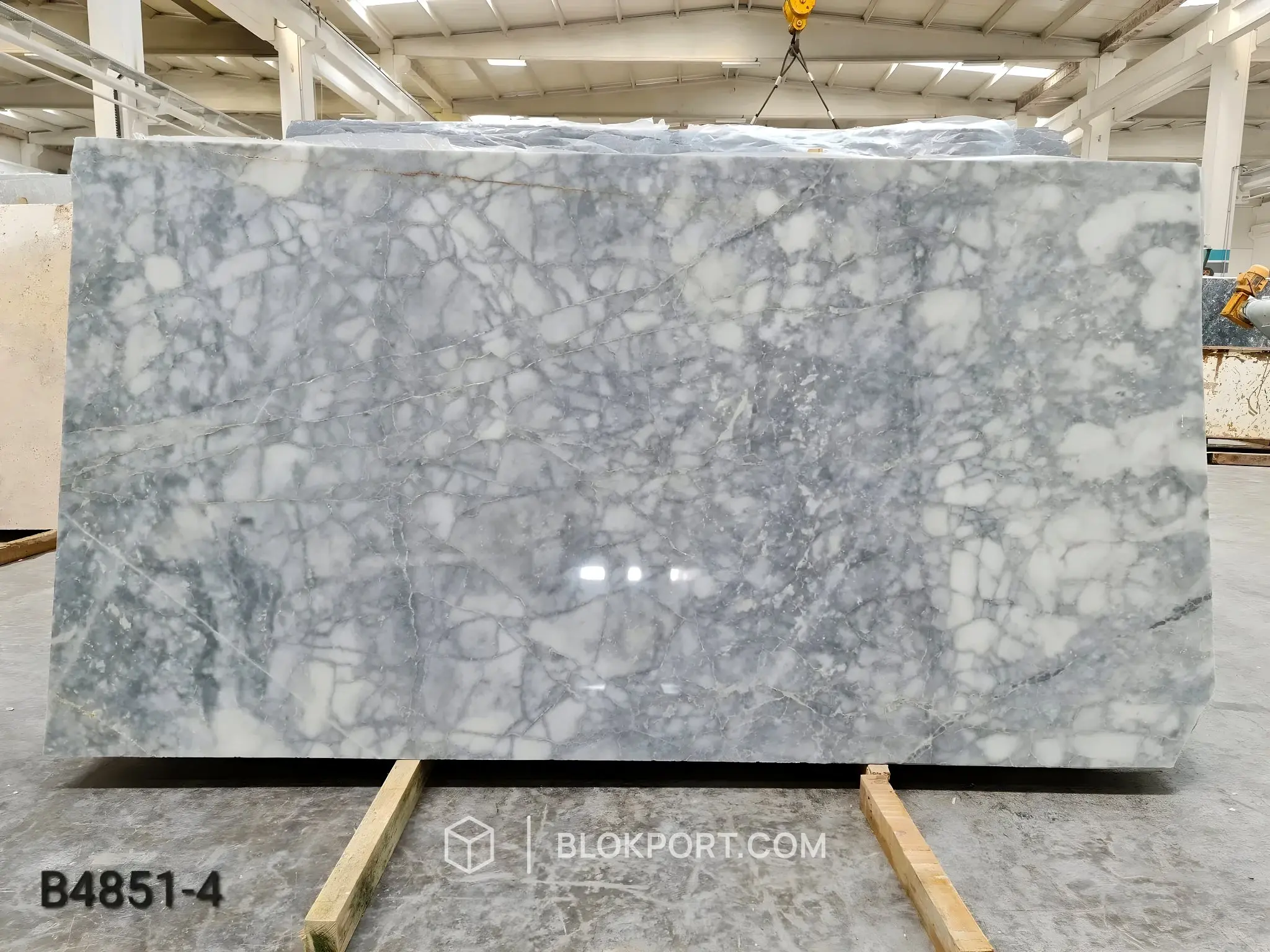 Grigio Venato ملمع الرخام, الصورة 1 من 4