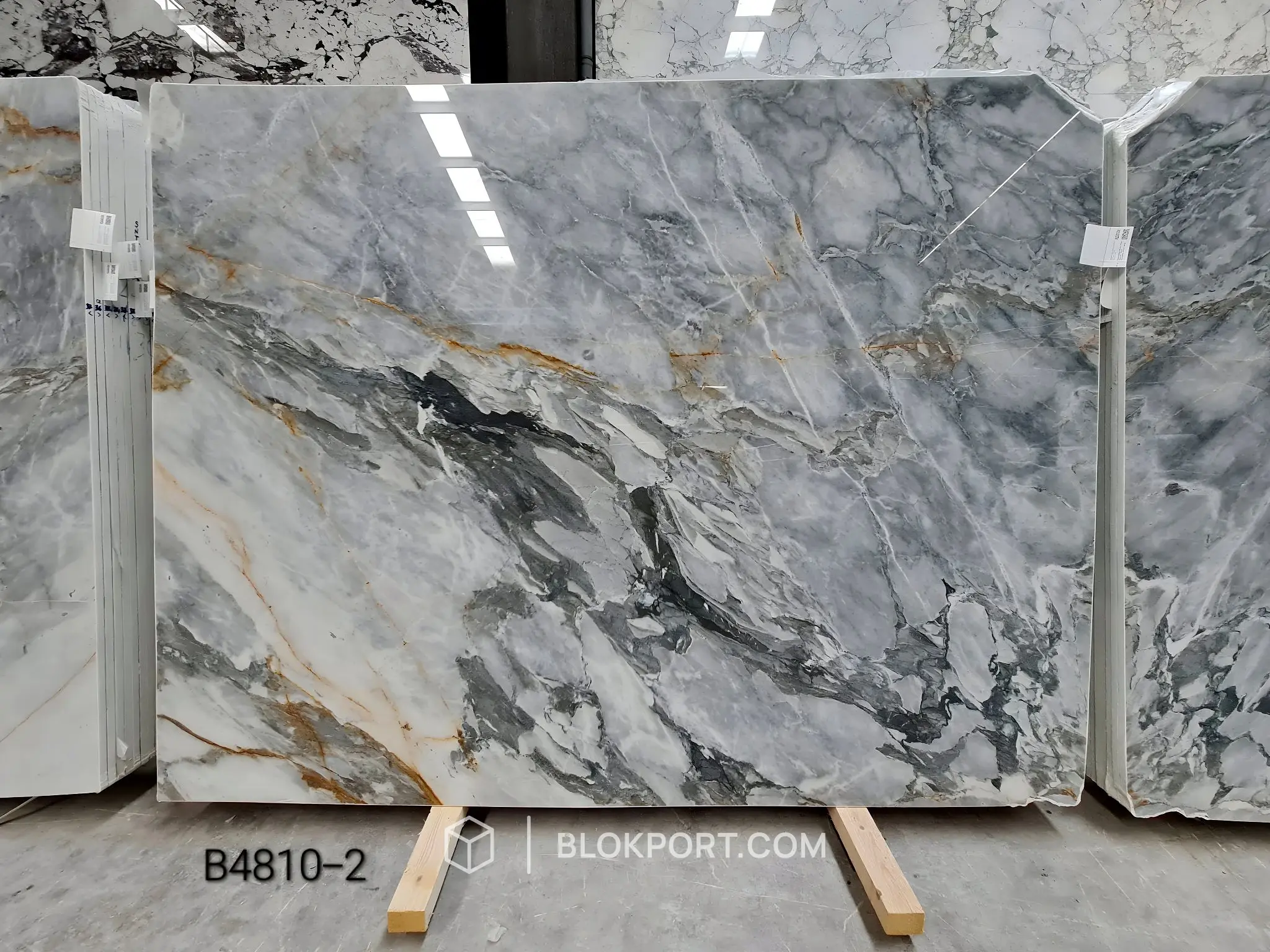 Calacatta Gold 抛光 大理石, 1 张图片，共 63 张