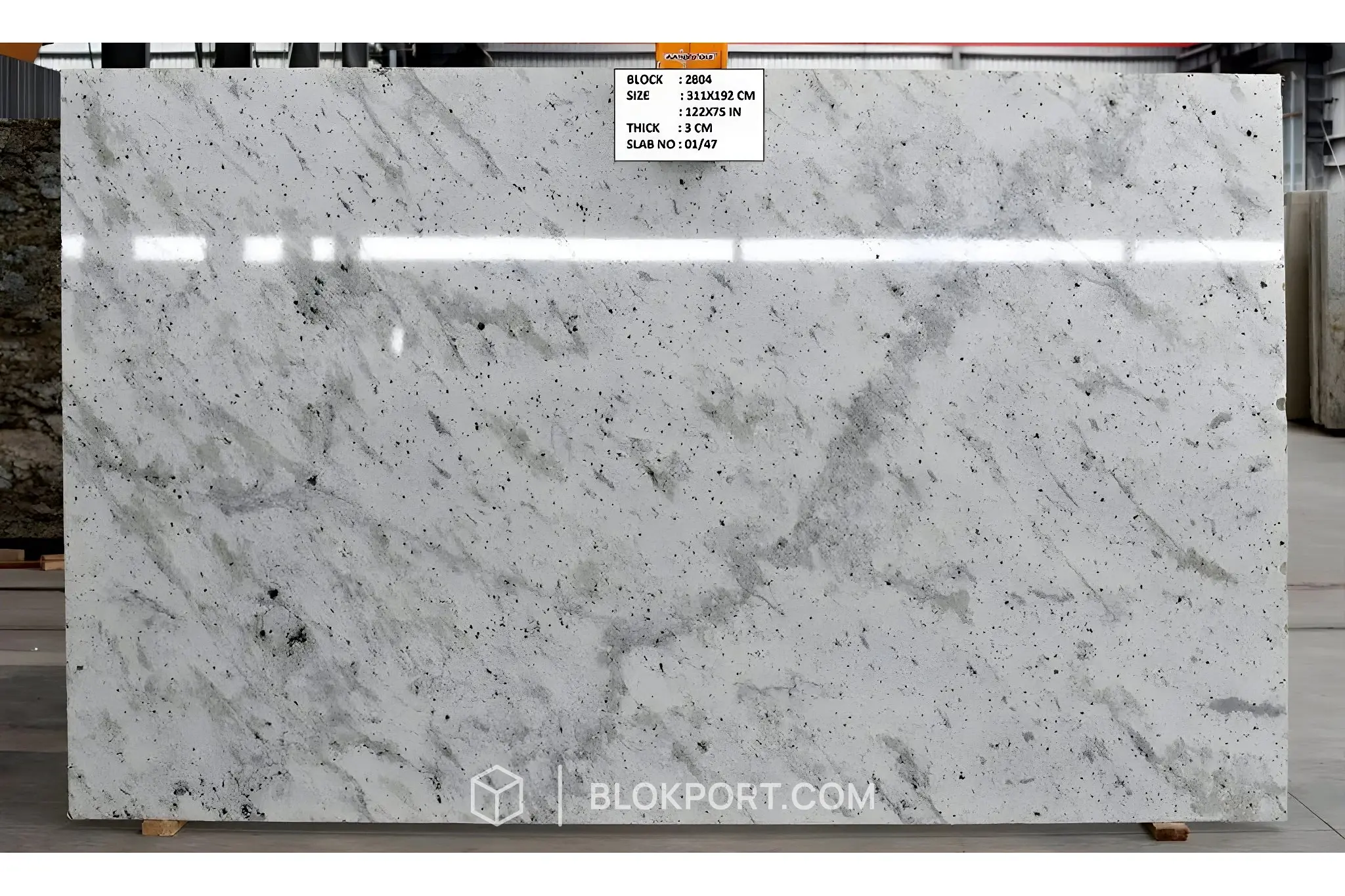 Andromeda White Polished Granite