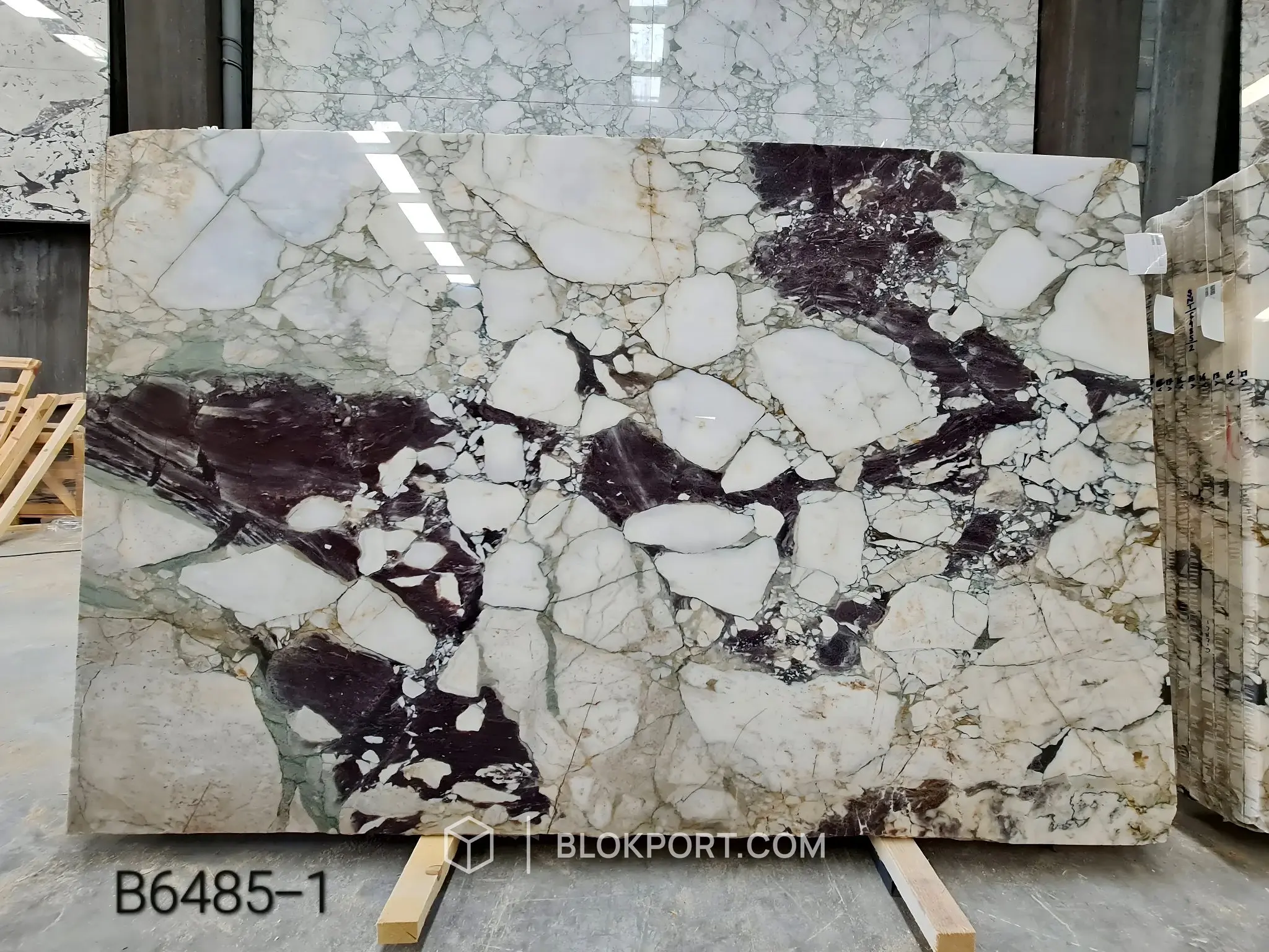 Calacatta Viola ملمع الرخام, الصورة 1 من 8