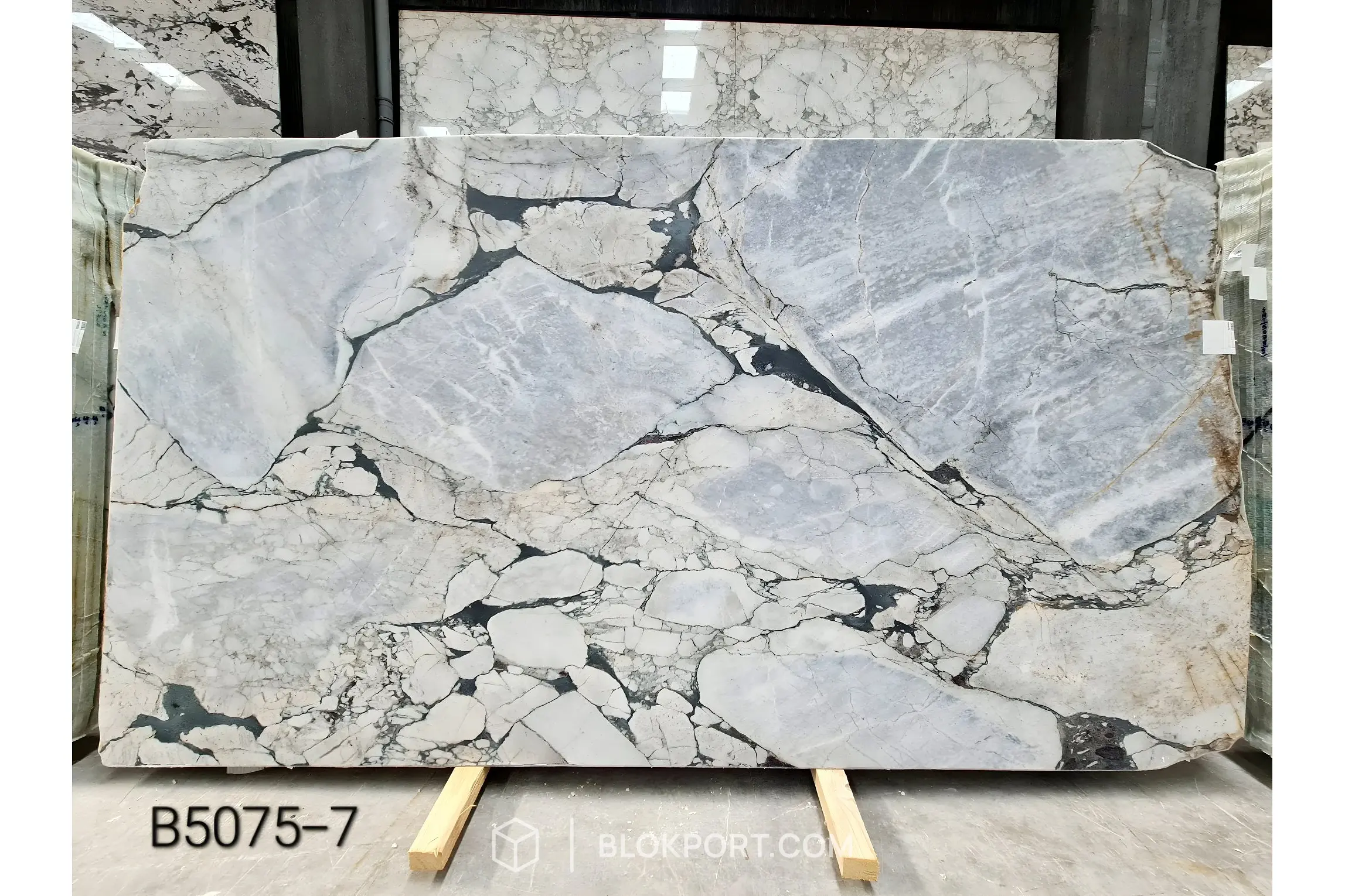 Image 5