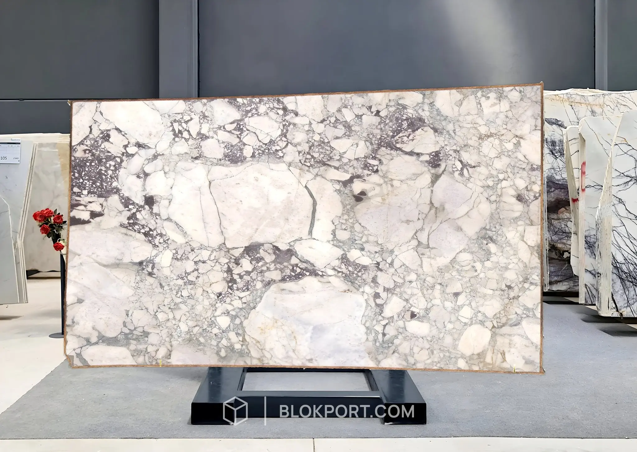 Calacatta Viola Honed Marble, photo 1 of 1