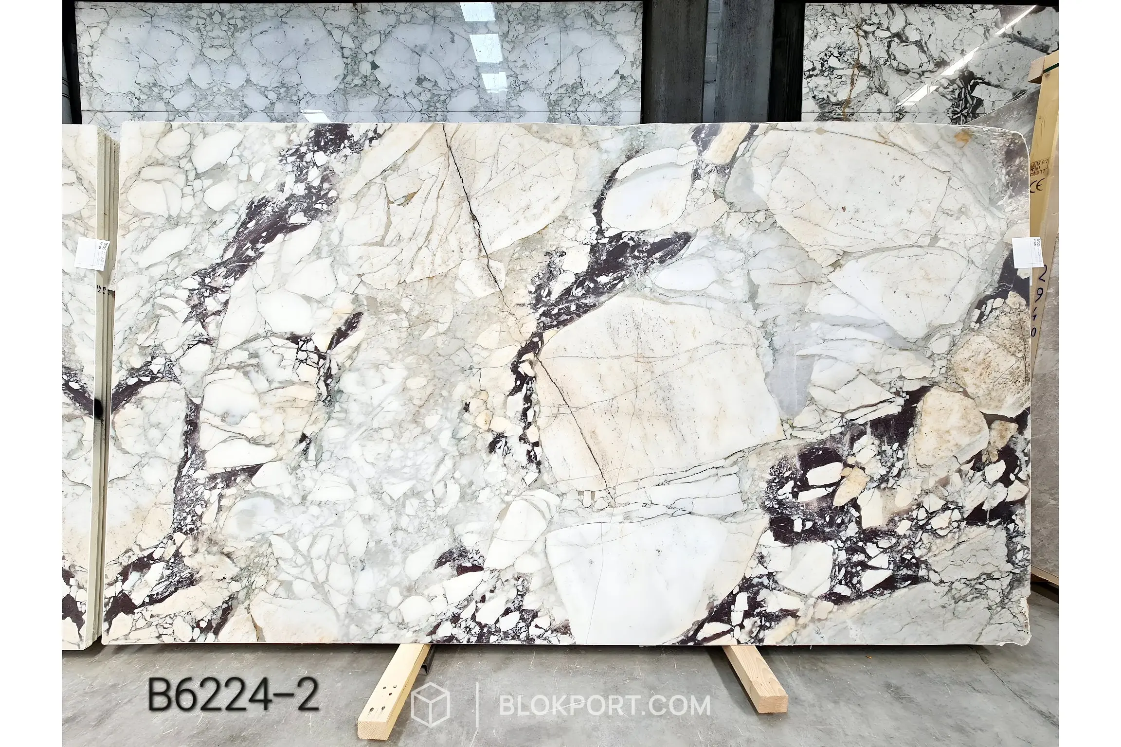 Calacatta Viola Honed Marble