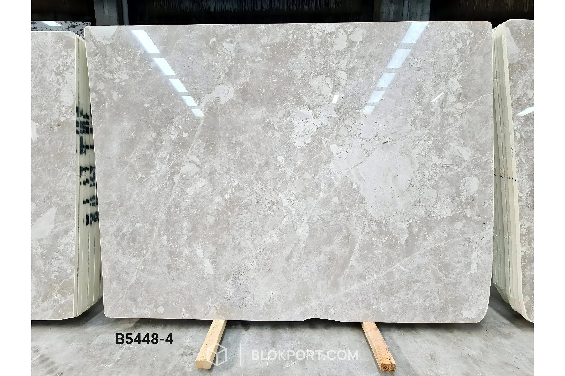 Active Beige Polished Marble