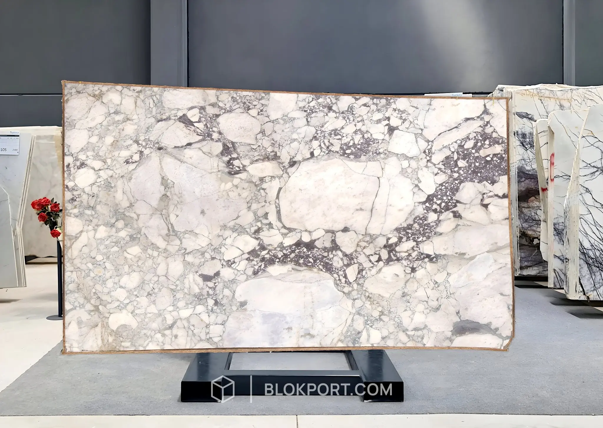 Calacatta Viola Honed Marble, photo 1 of 1