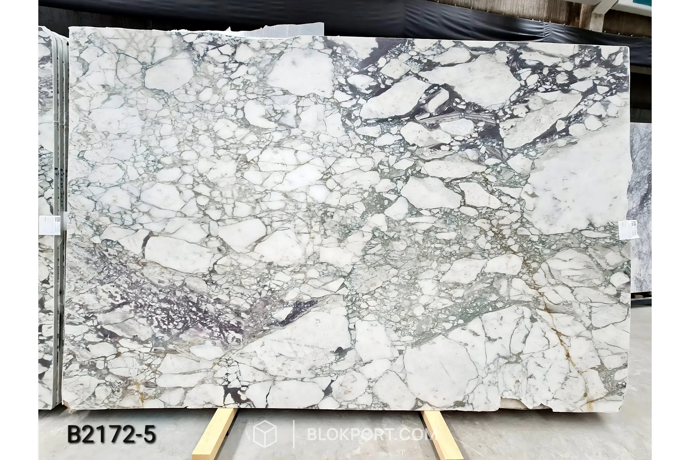 Calacatta Viola Honed Marble