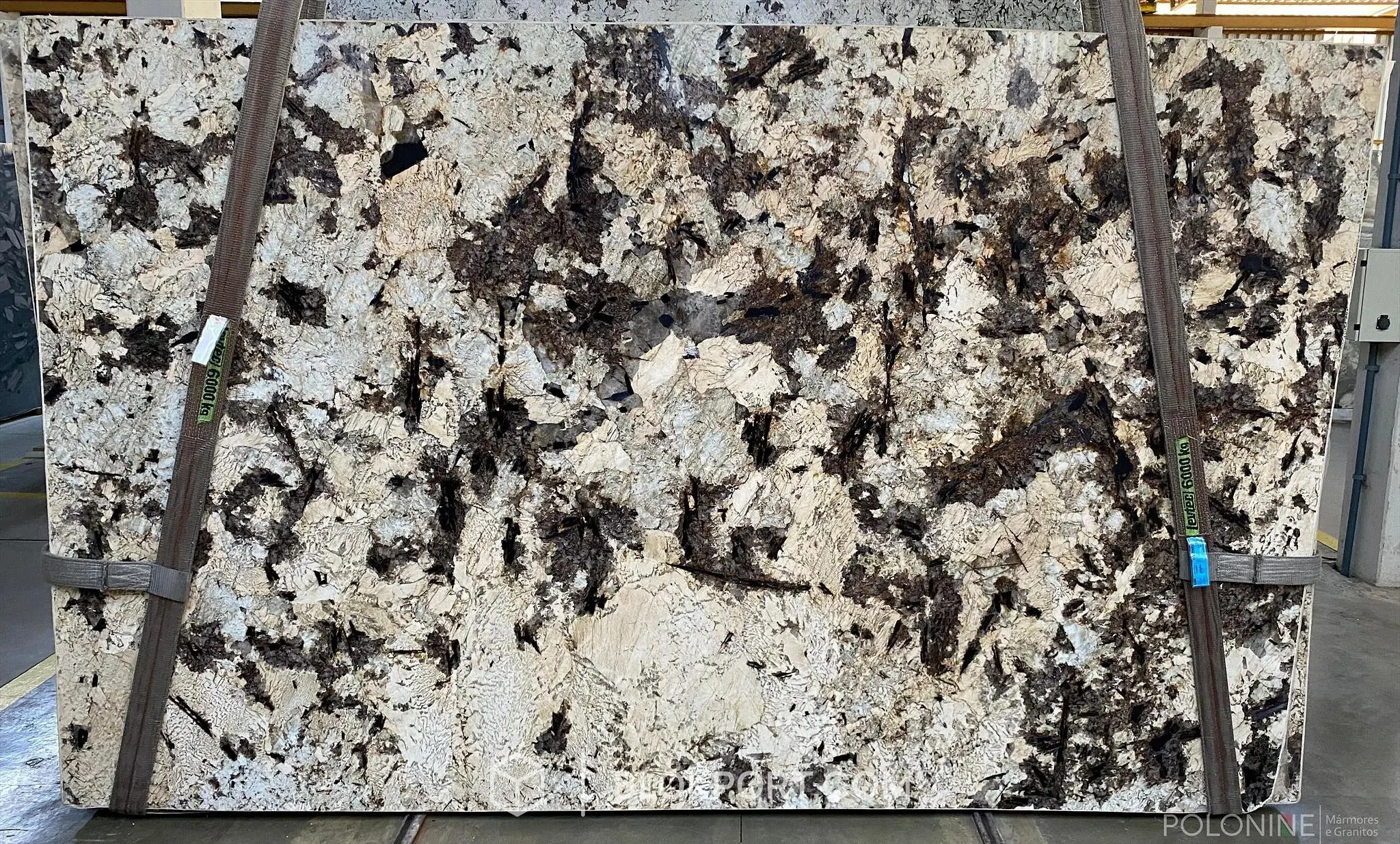Splendoure Dior Gepolijst Graniet, foto 1 van 1