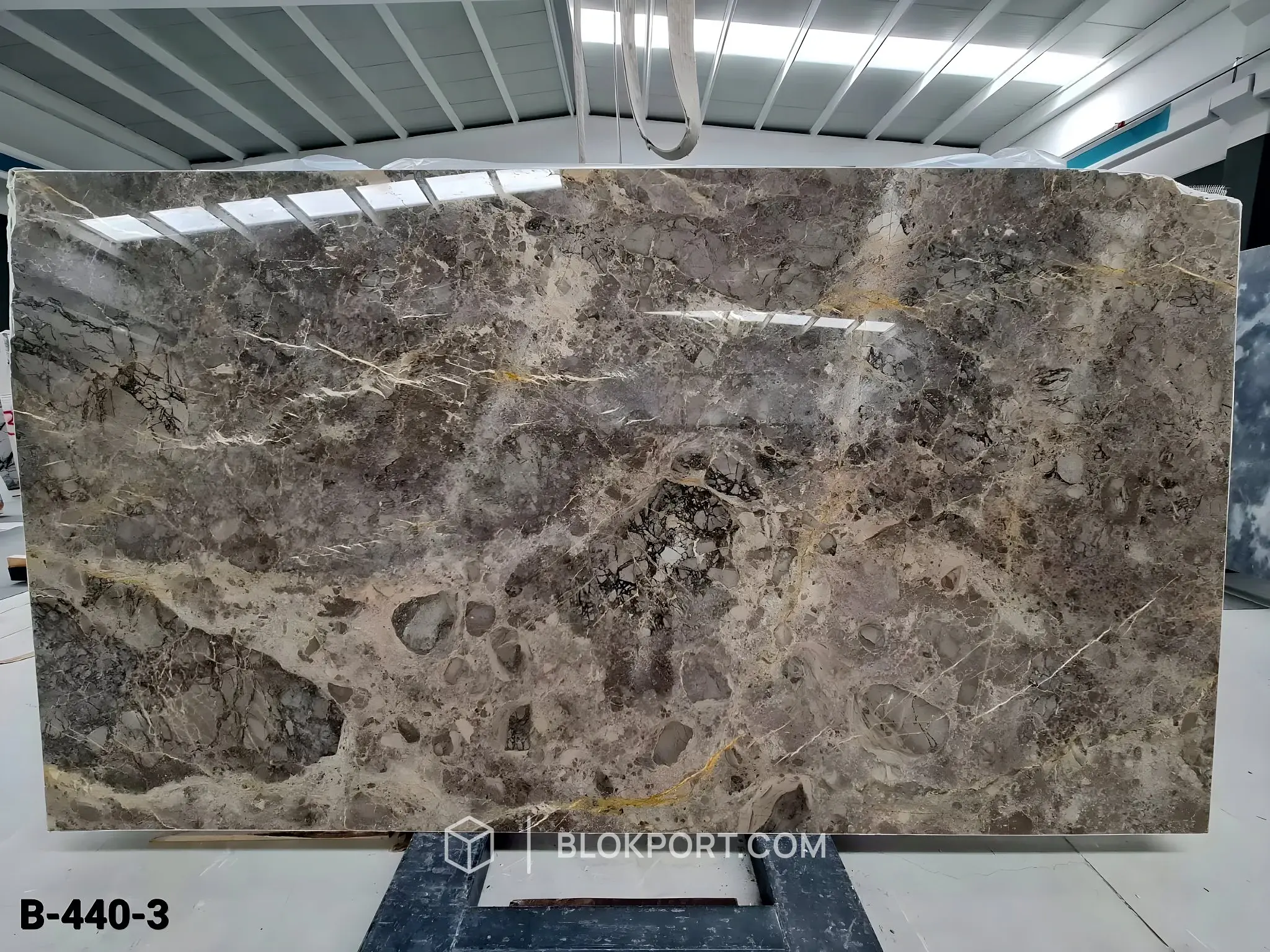 Titanium Grey ملمع الرخام, الصورة 1 من 4
