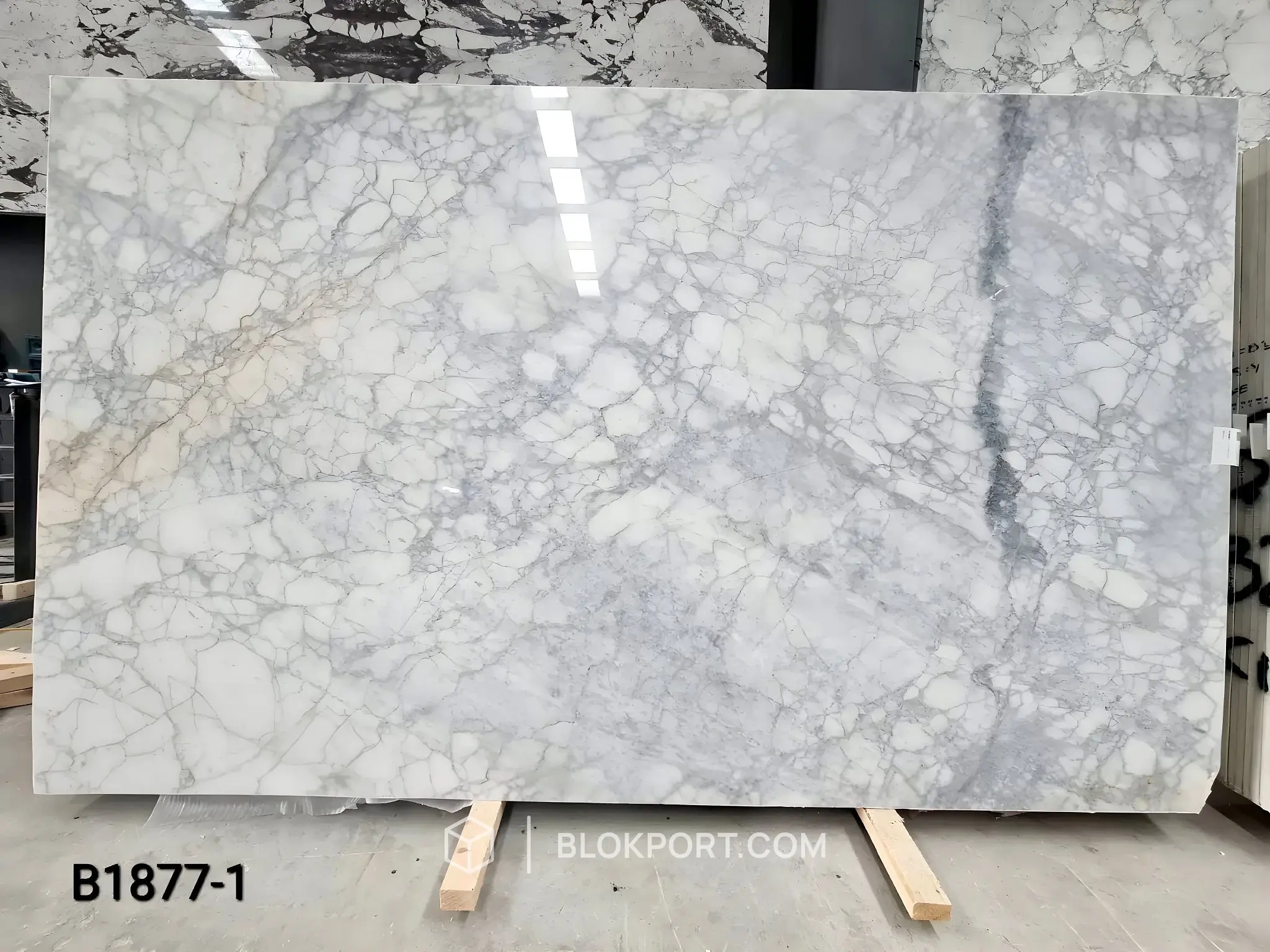 Calacatta 抛光 大理石, 1 张图片，共 4 张