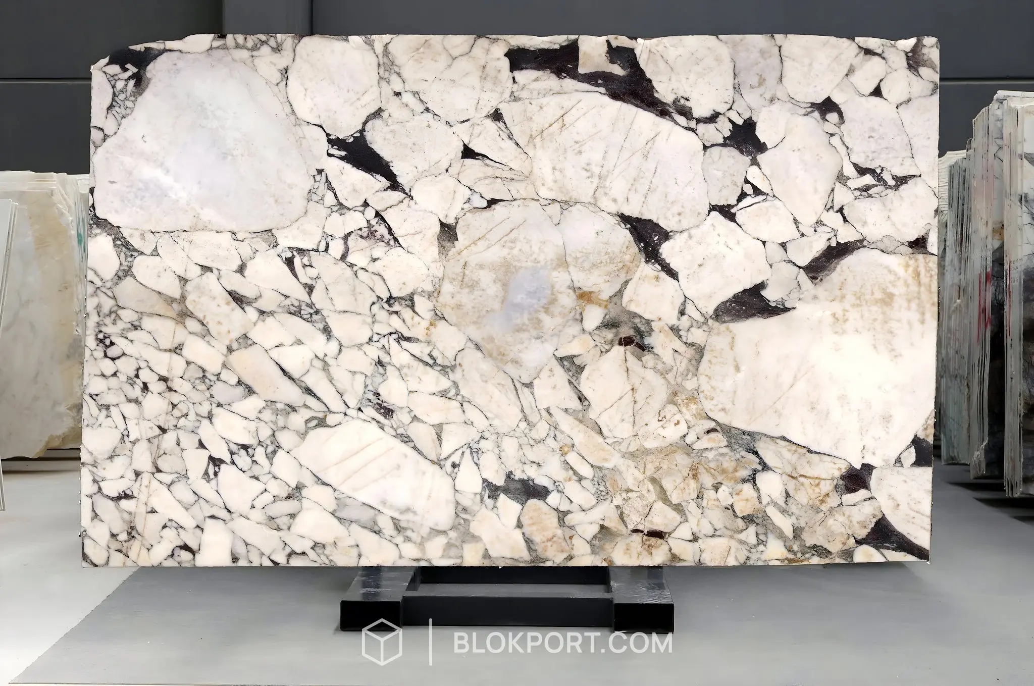 Calacatta Viola Honed Marble, photo 1 of 1